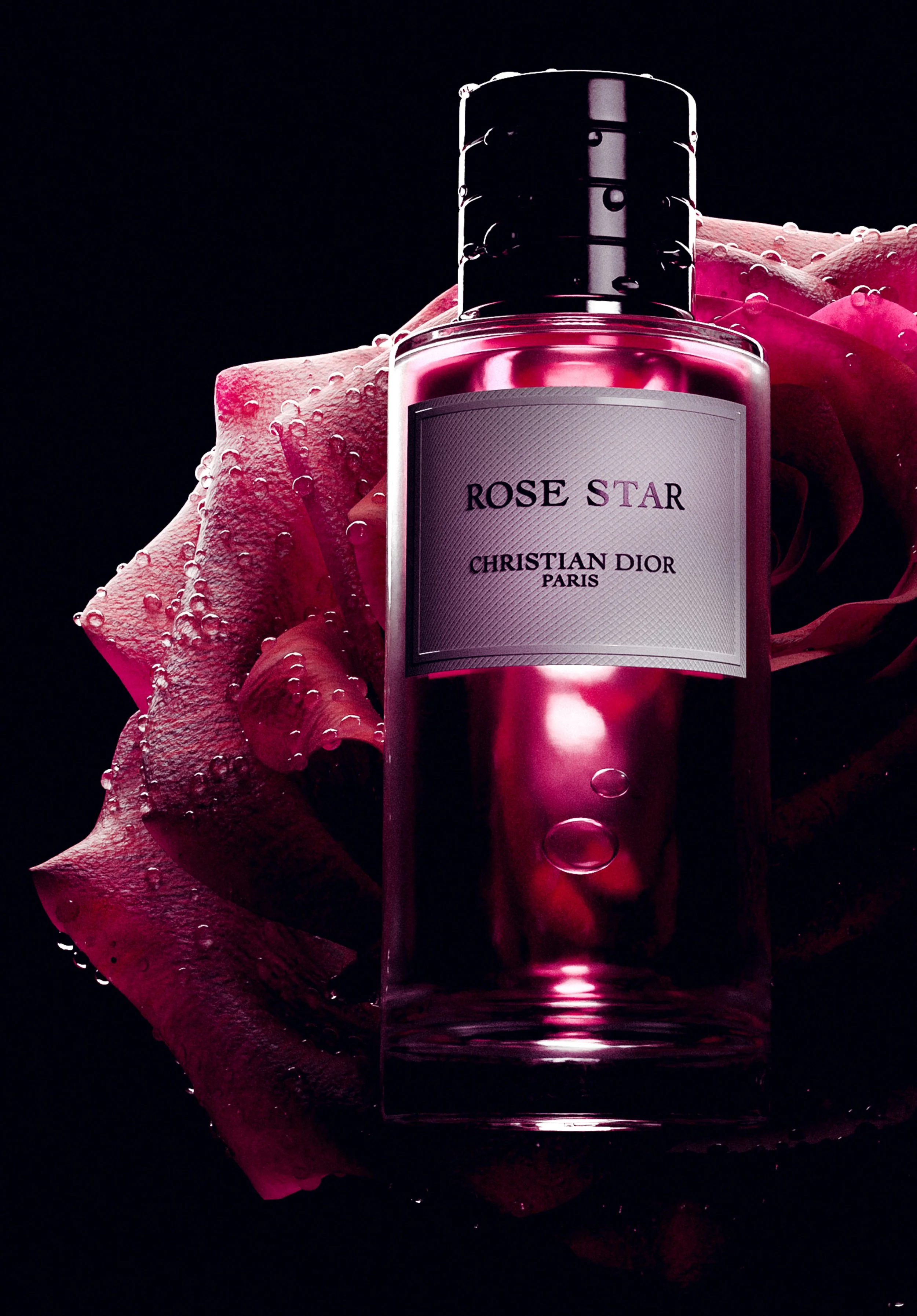 RENDER007 ROSE www.jpg