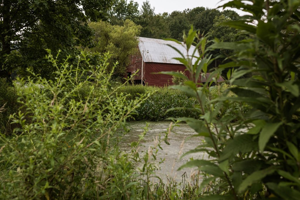 pond and barn.jpg