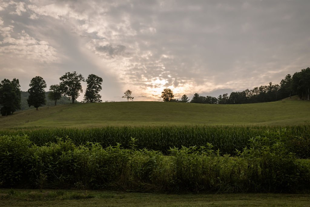 zOdonataFarm_ChelseaLanePhotographyAug2021-80.jpg