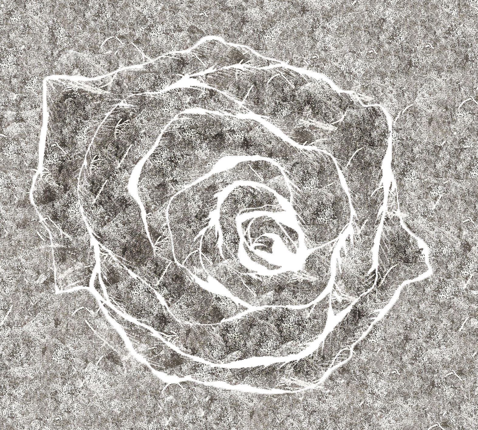 Textured prints created by sketching a pattern into a piece of glass covered in black ink, and mono printed onto paper.