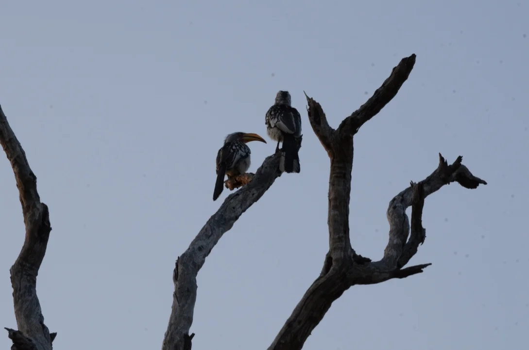 thumb_DSC_2754_1024.jpg