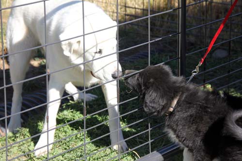 Harri and Sofie meet for the first time