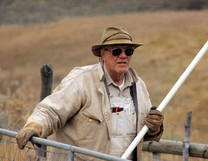 Joe Sperry, sheep farmer, Colorado