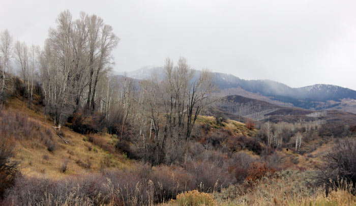 Joe Sperry's ranch country