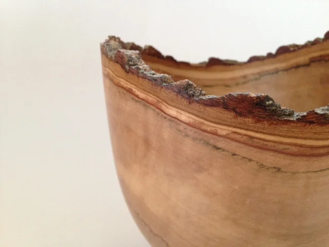 Maple