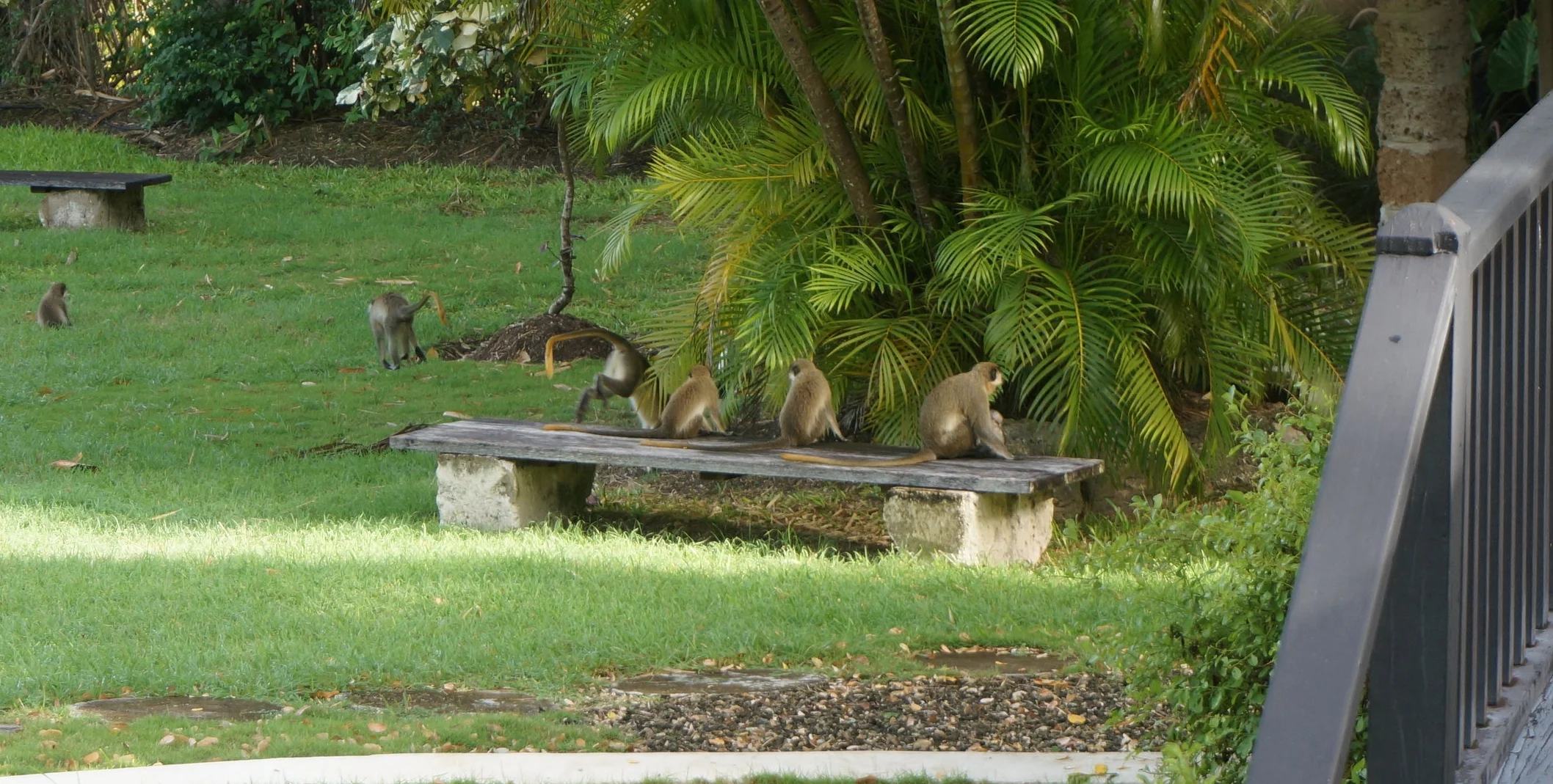 DSC08740.JPG