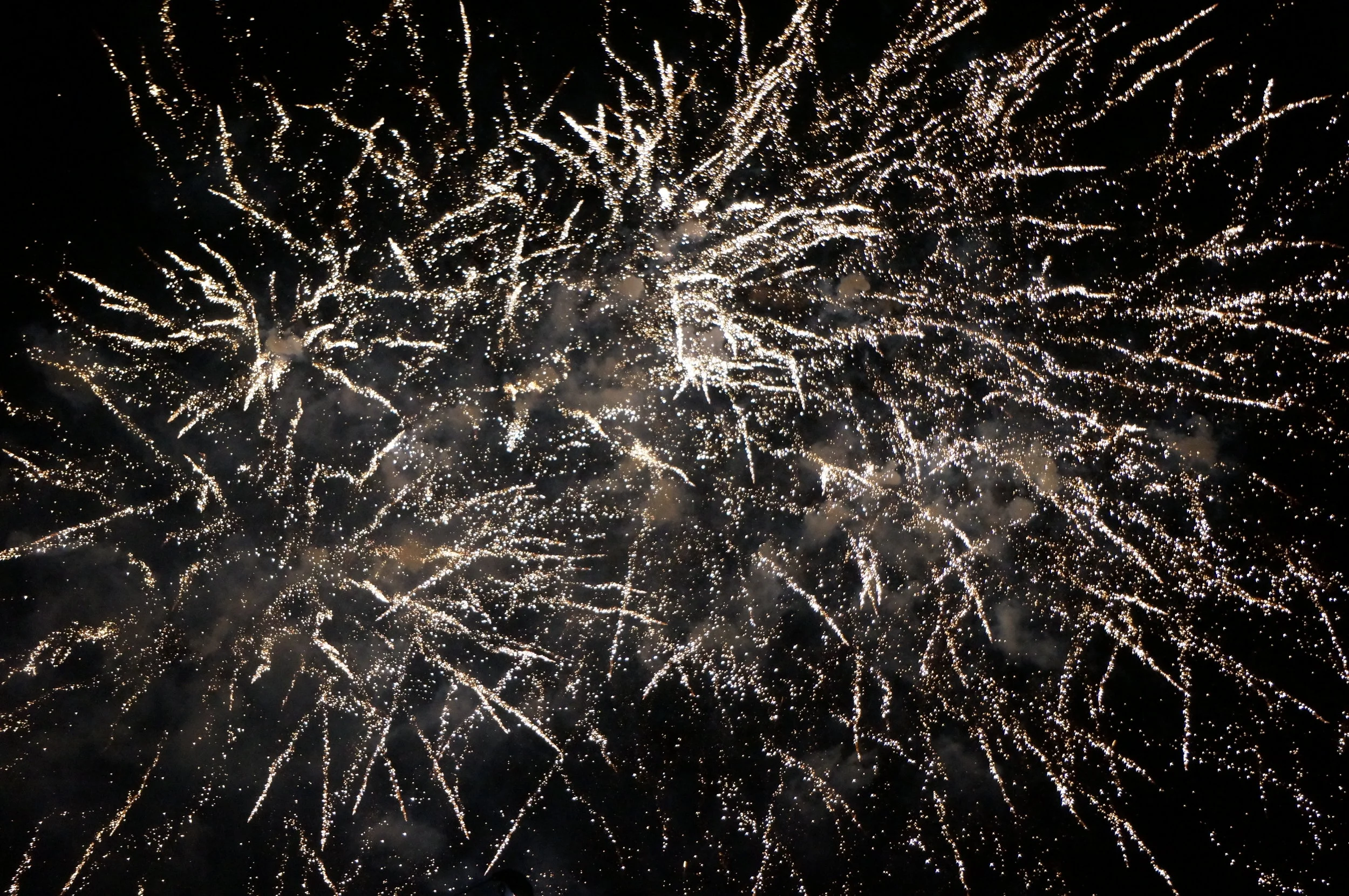 DSC09367.JPG