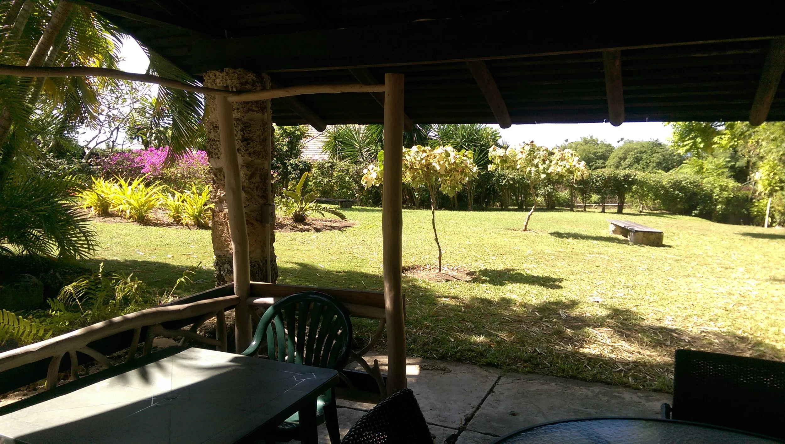 IMAG0958.jpg