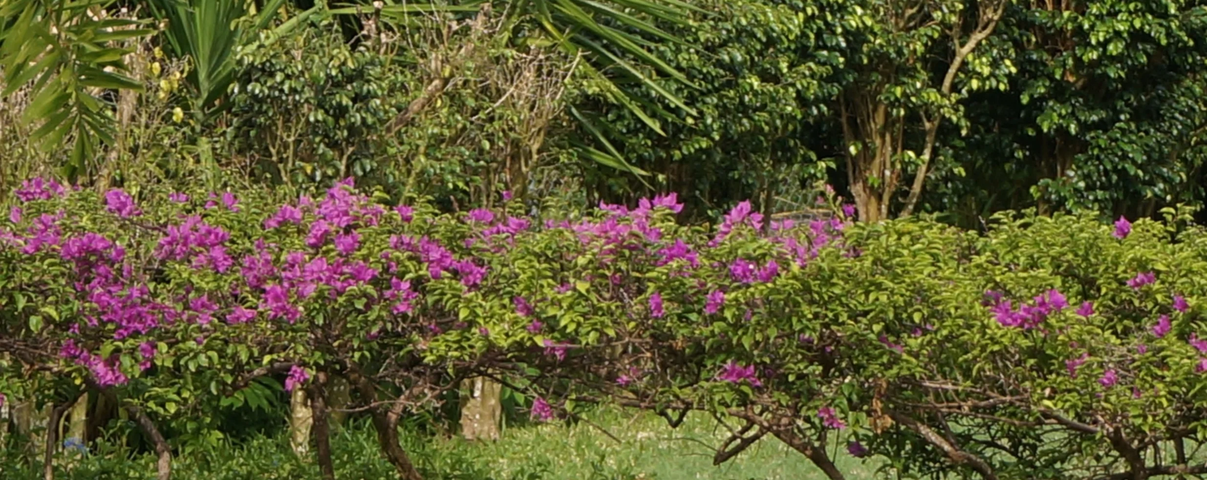 DSC09000.jpg