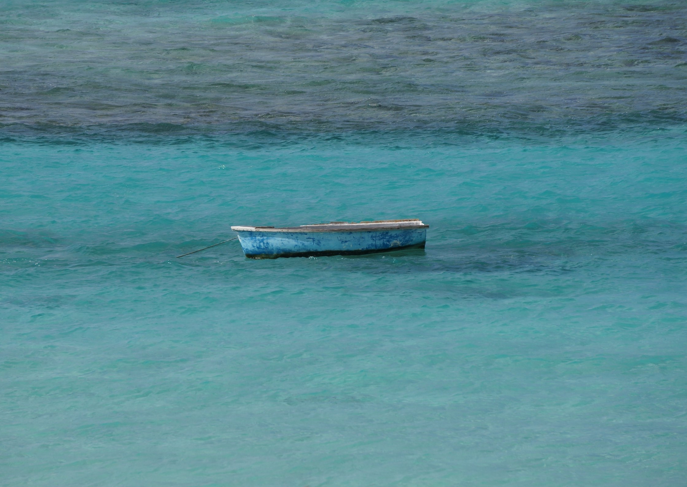 DSC09941.jpg