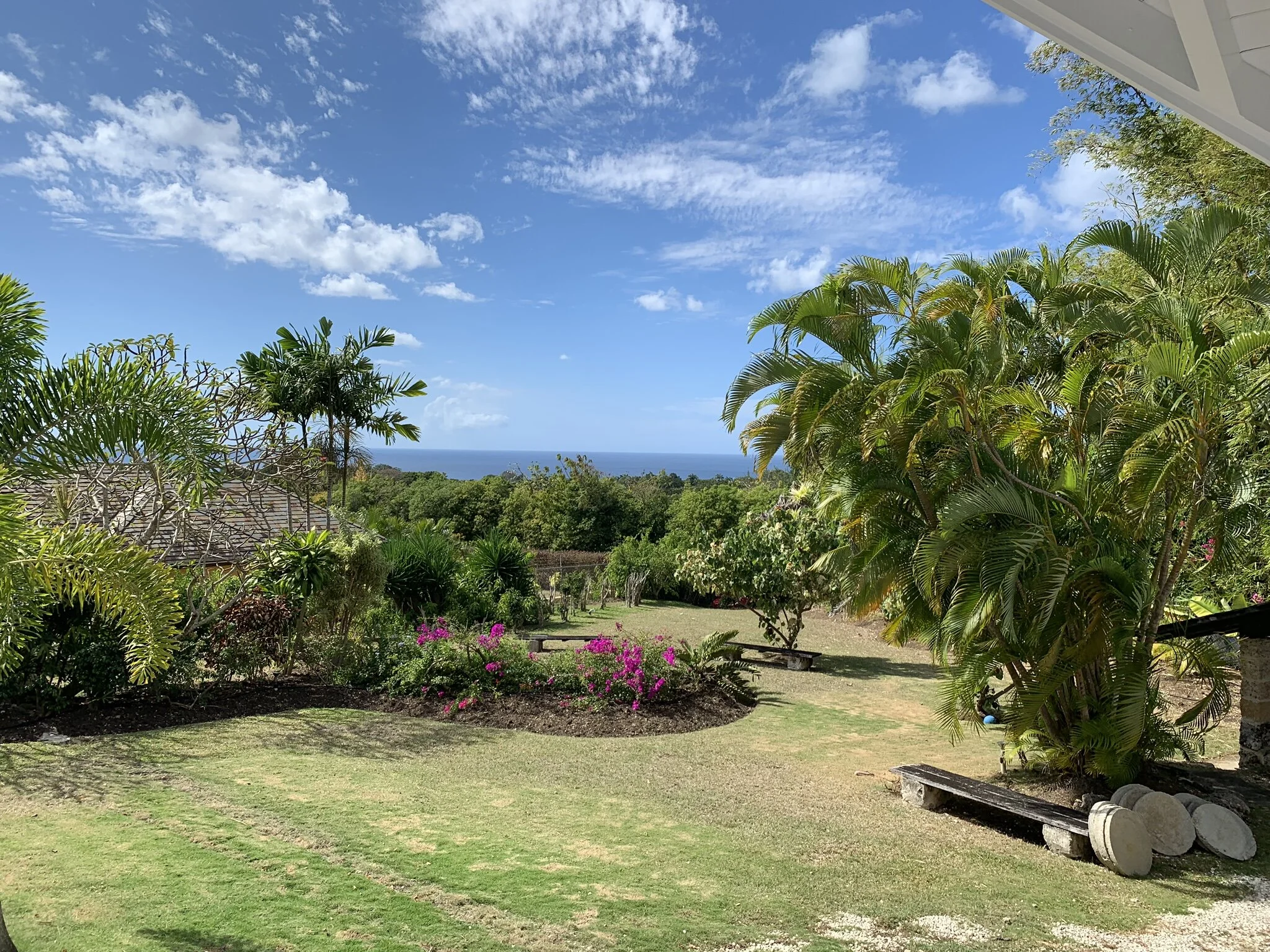 from the verandah looking west towards the caribbean Sea
