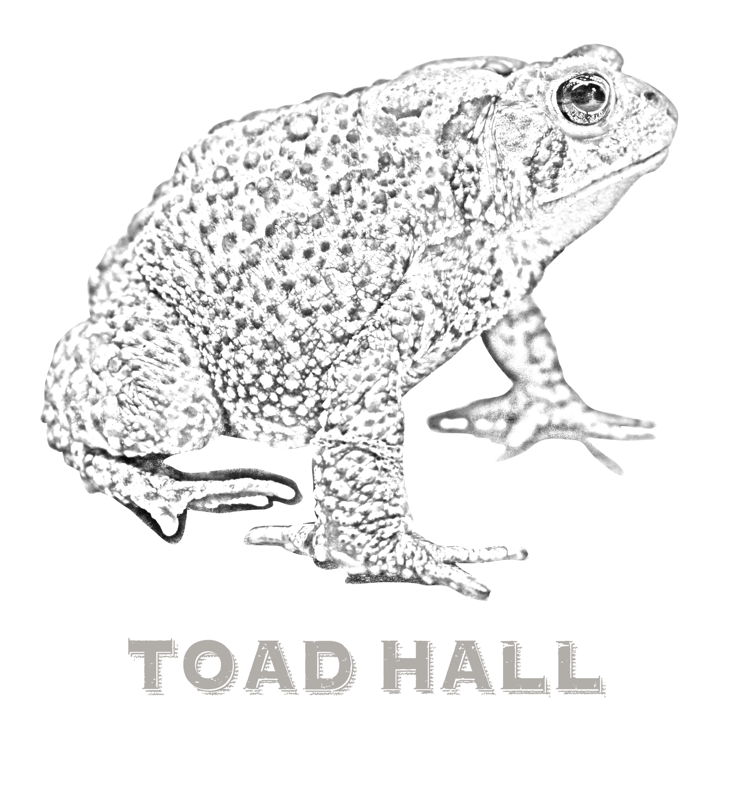 Toad Hall Barbados