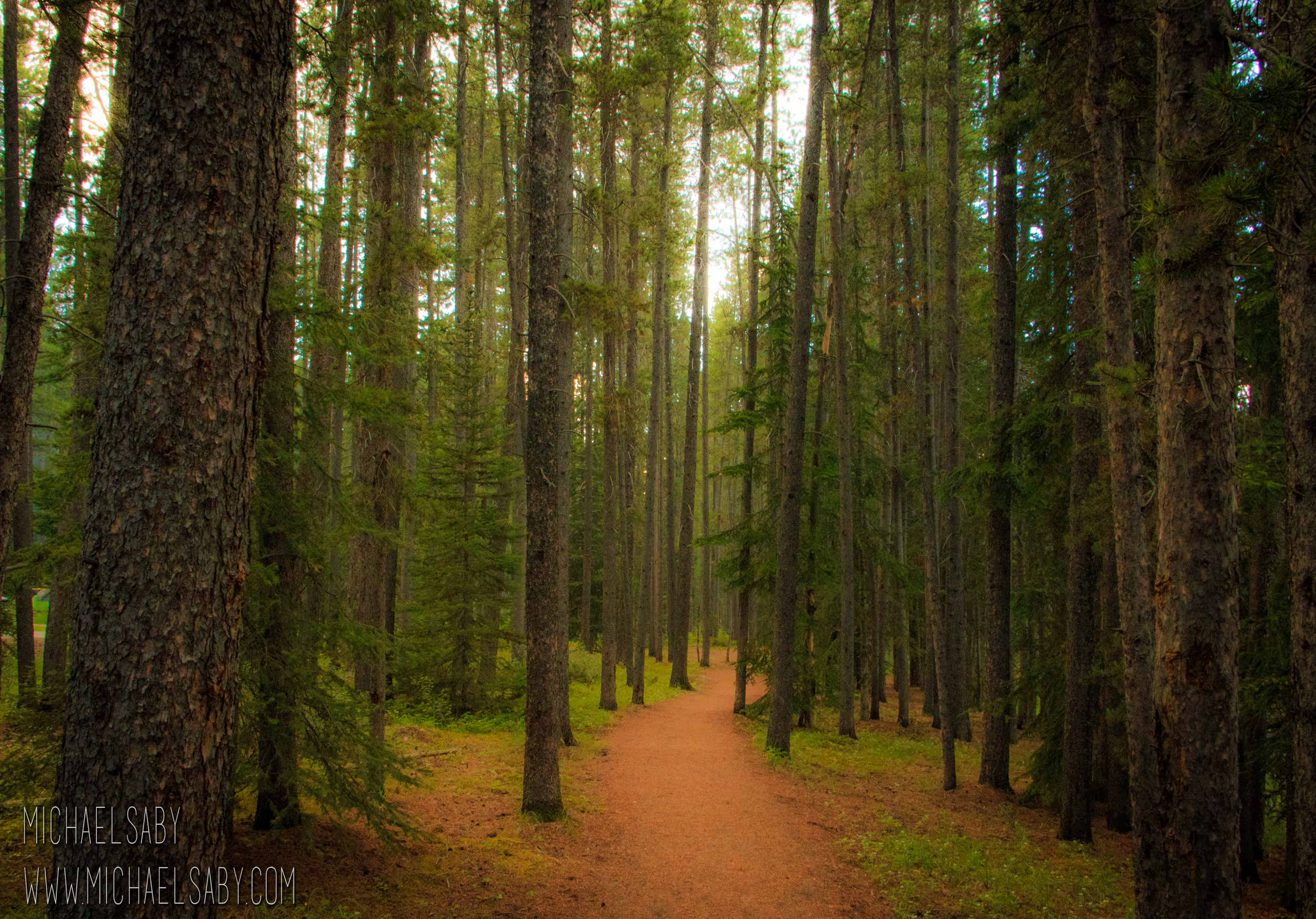 Lake Louise Trail