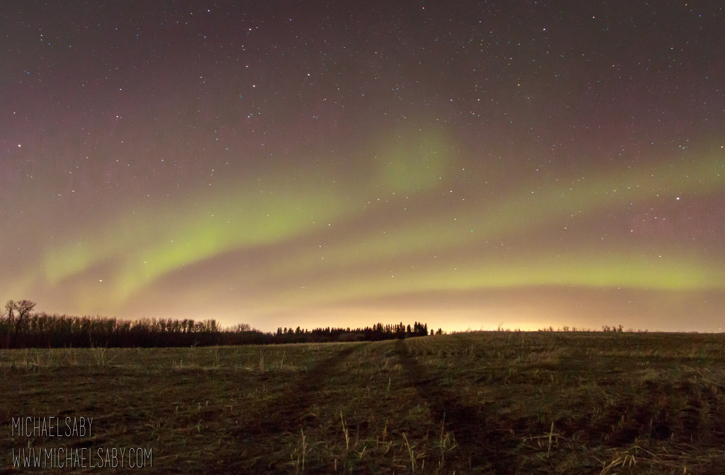 Northern Lights Field