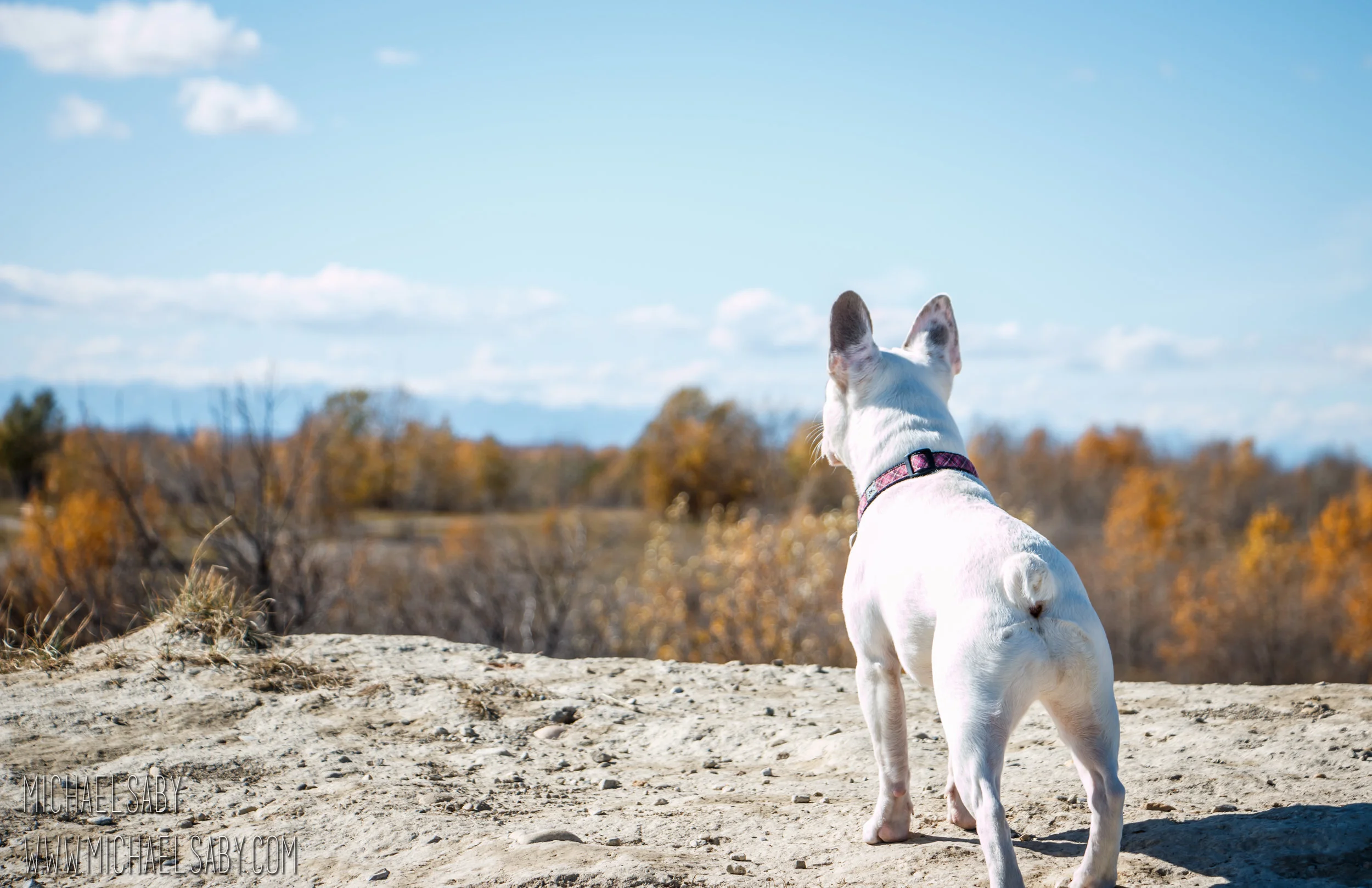 Adventure