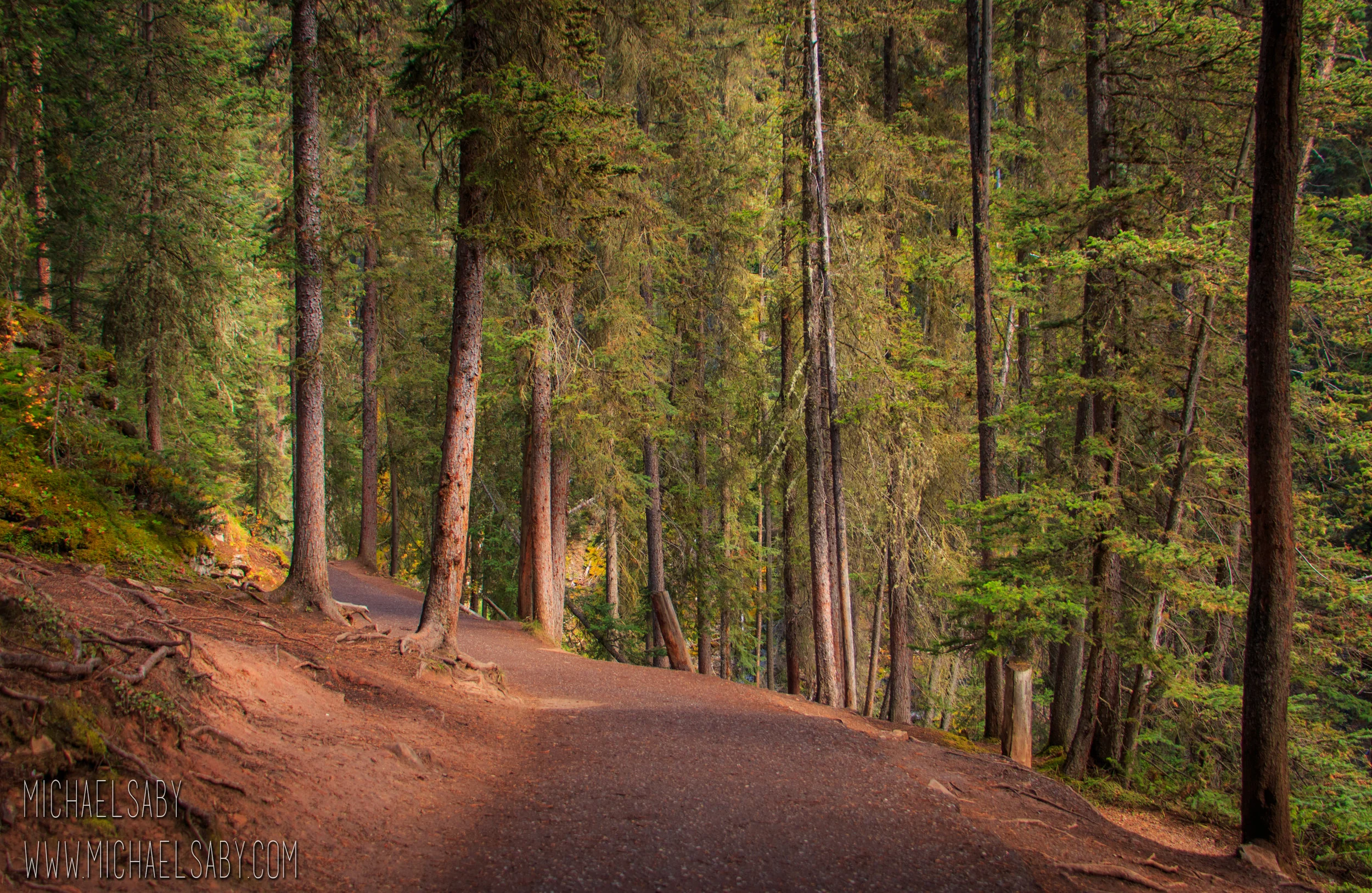 Johnston Path
