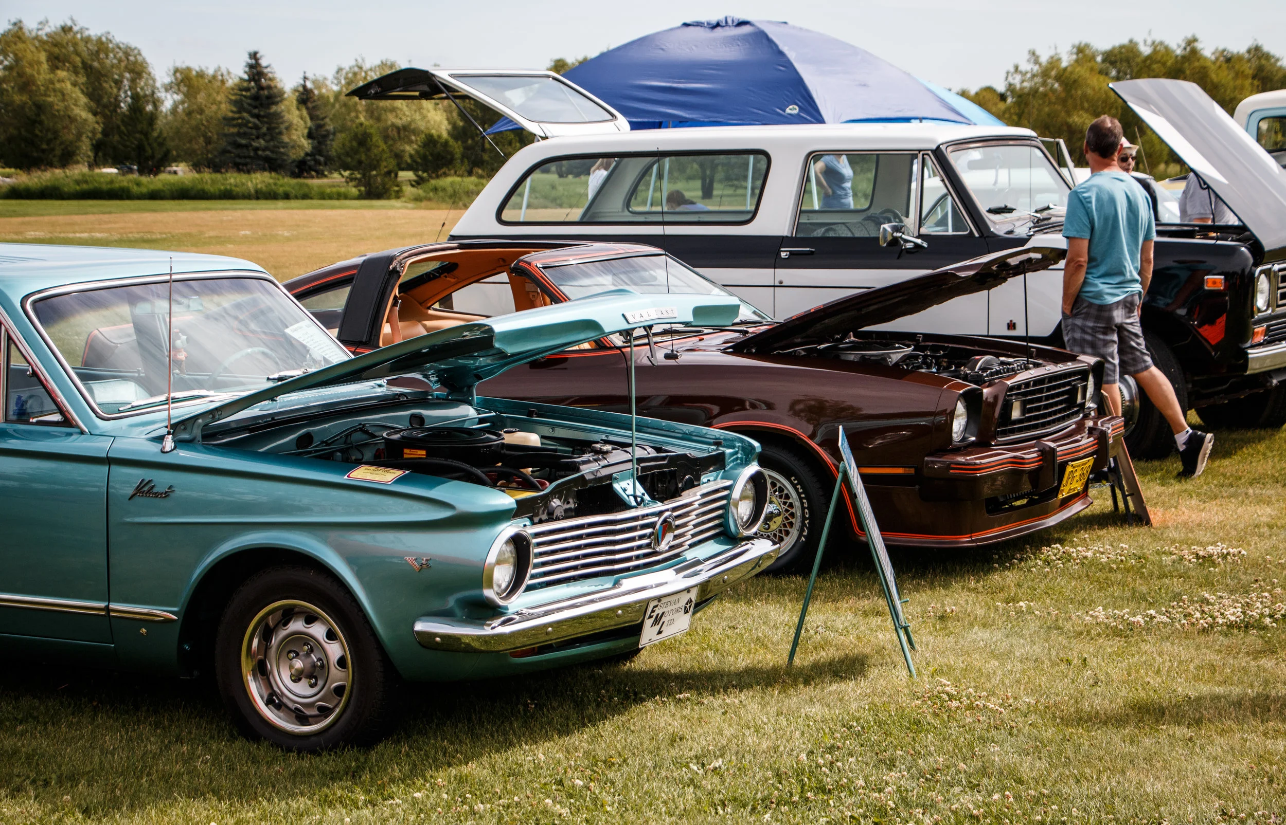 Show and Shine