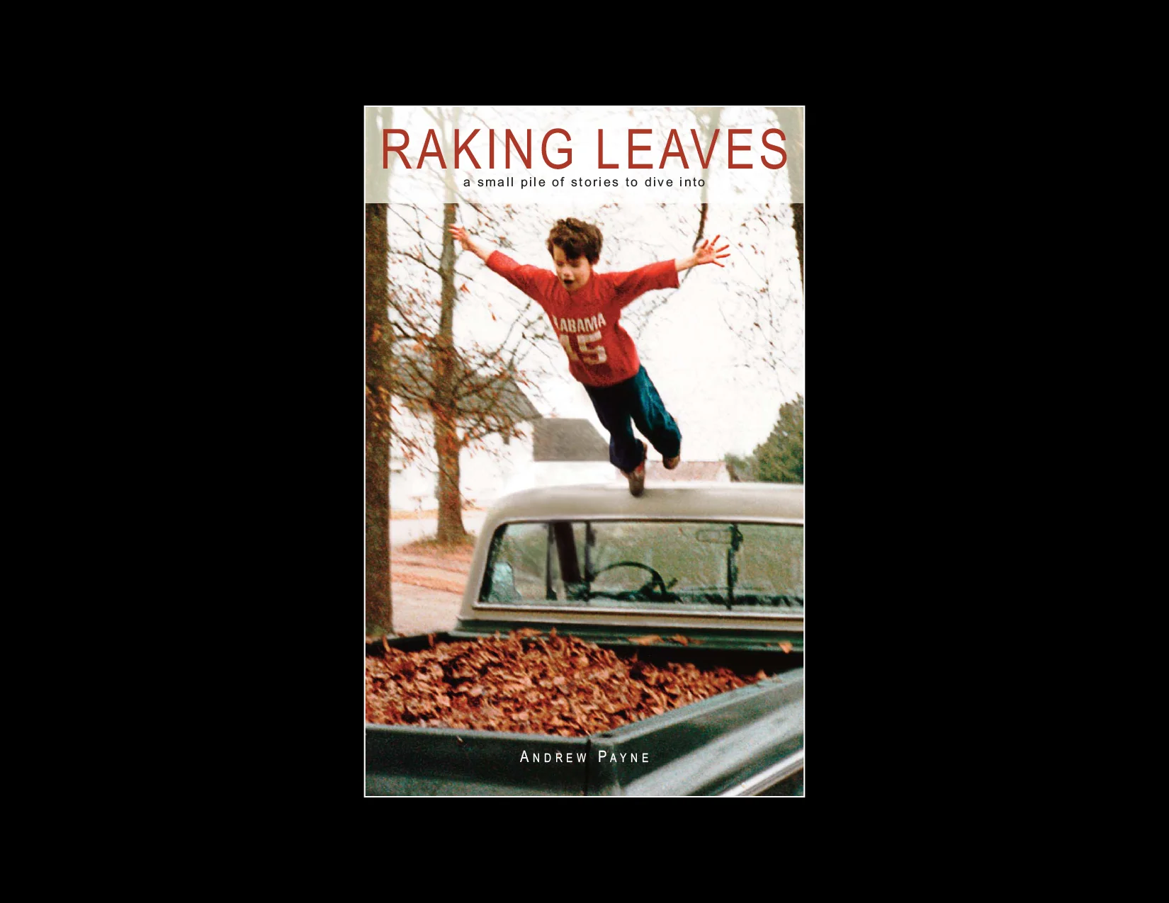 Raking_Leaves_by_Andrew_Payne_COVER-4.jpg