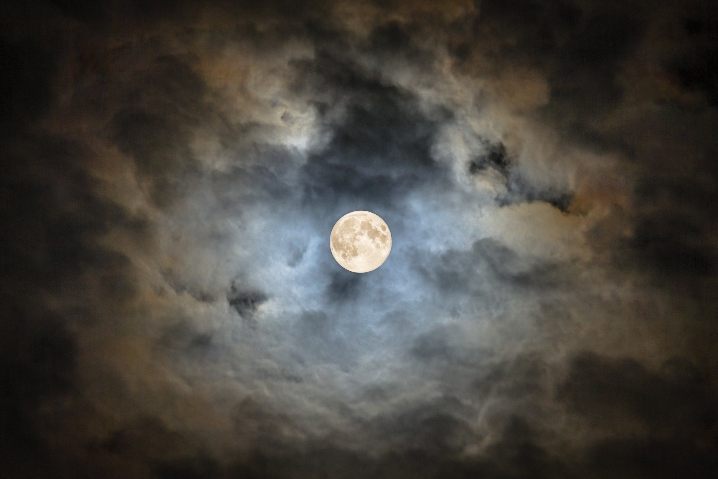 IMG_1942-Edit.jpg