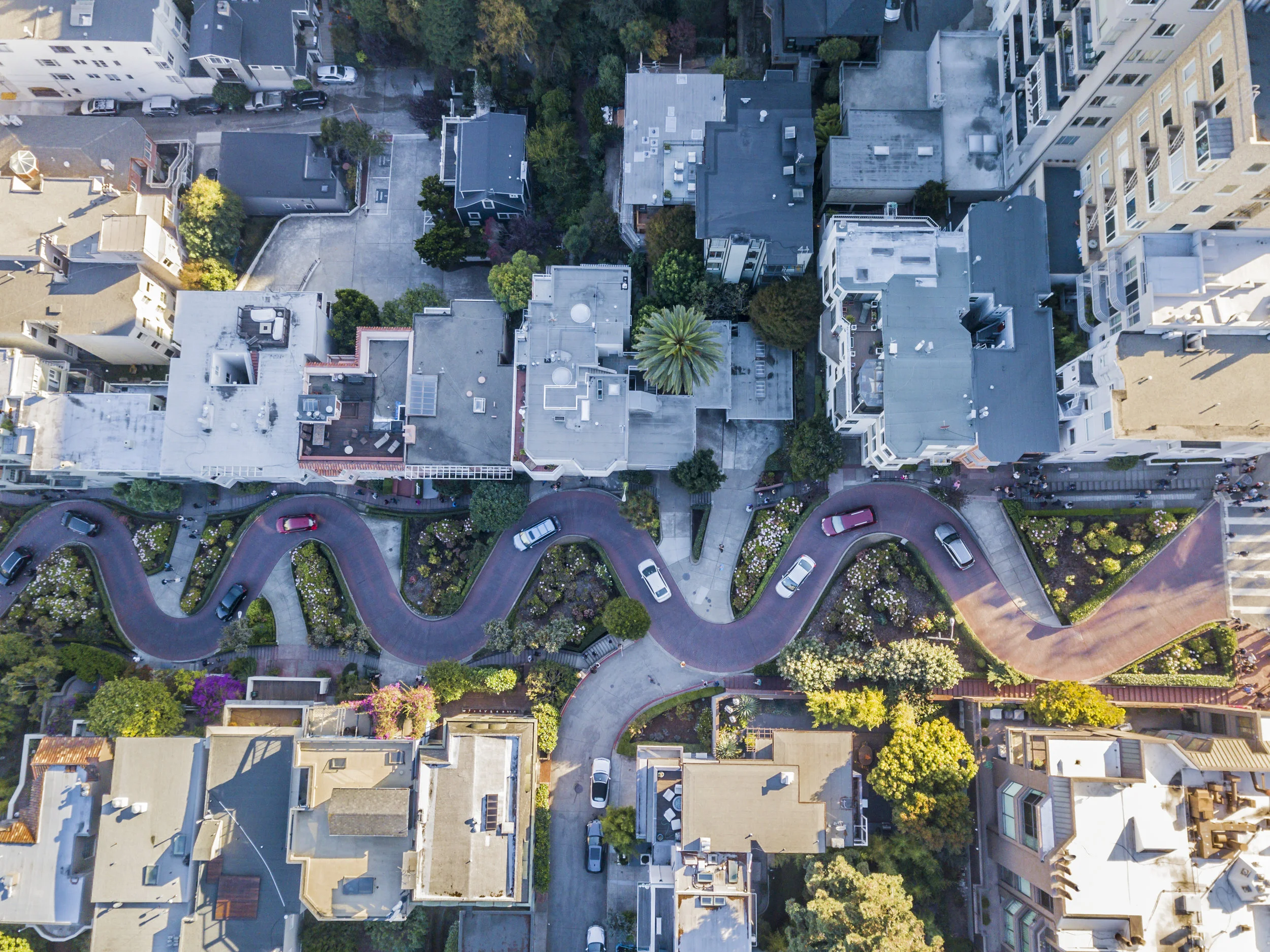 DJI_0232.jpg