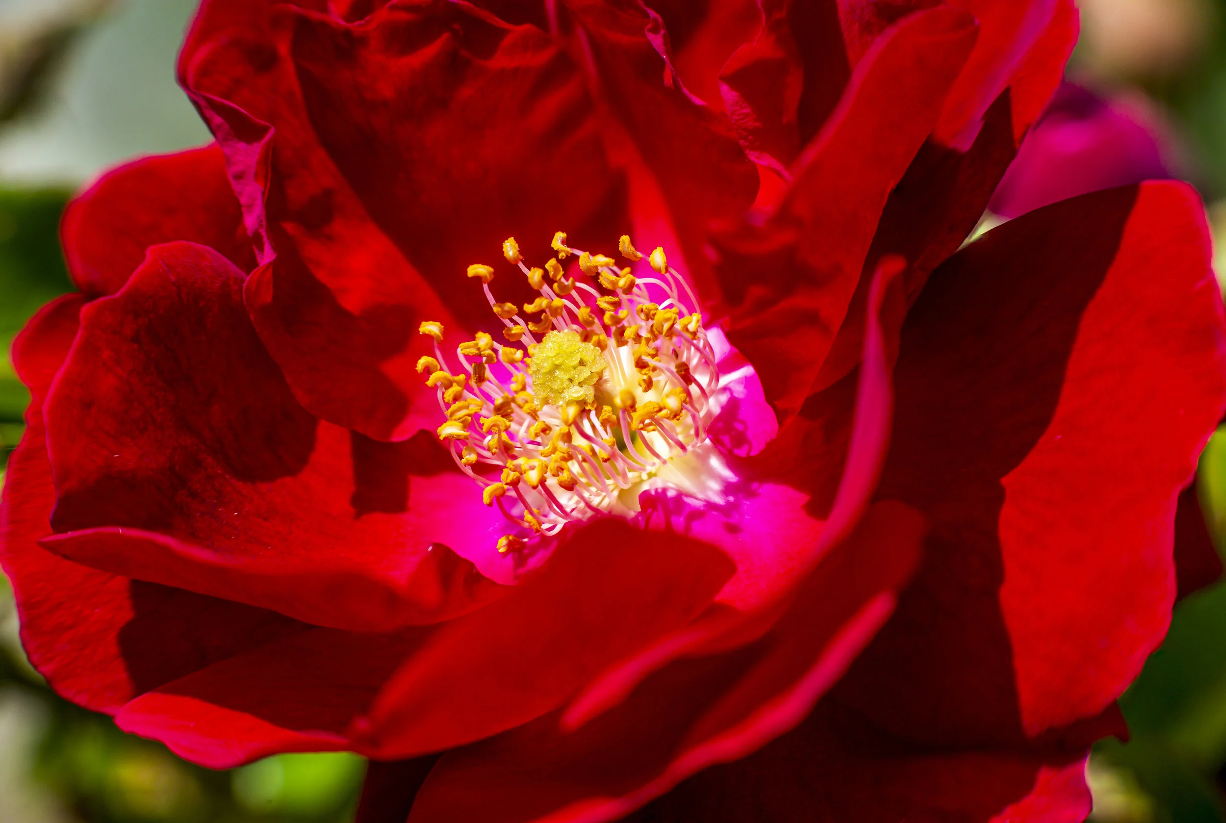 _N5A2308-Edit.jpg