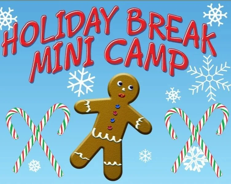 SMC-Holiday-mini-camp3.jpg