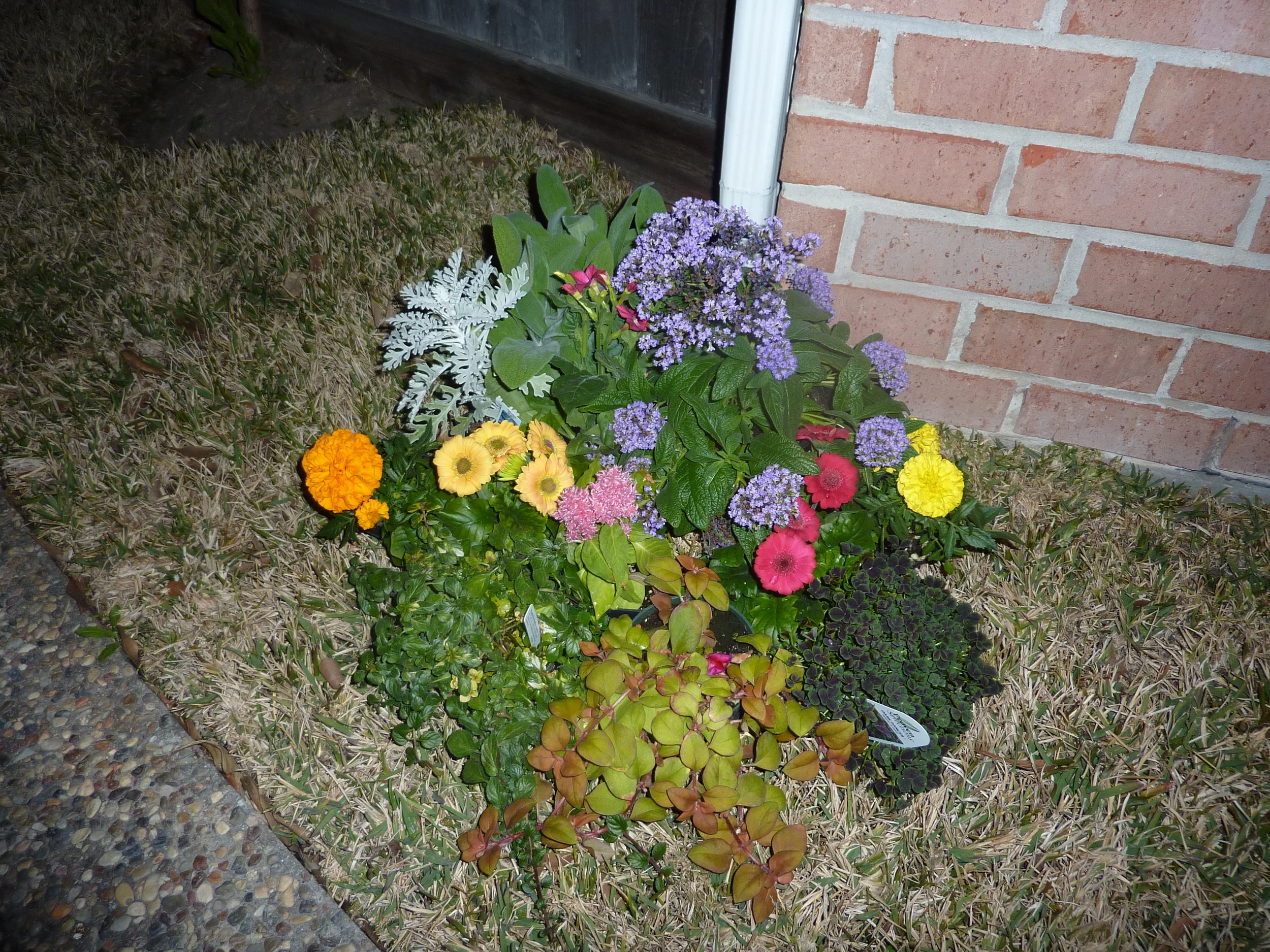 P1010329.JPG