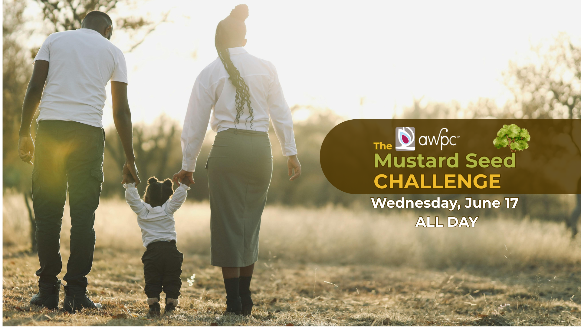 Mustard Seed Challenge webpage banner.png