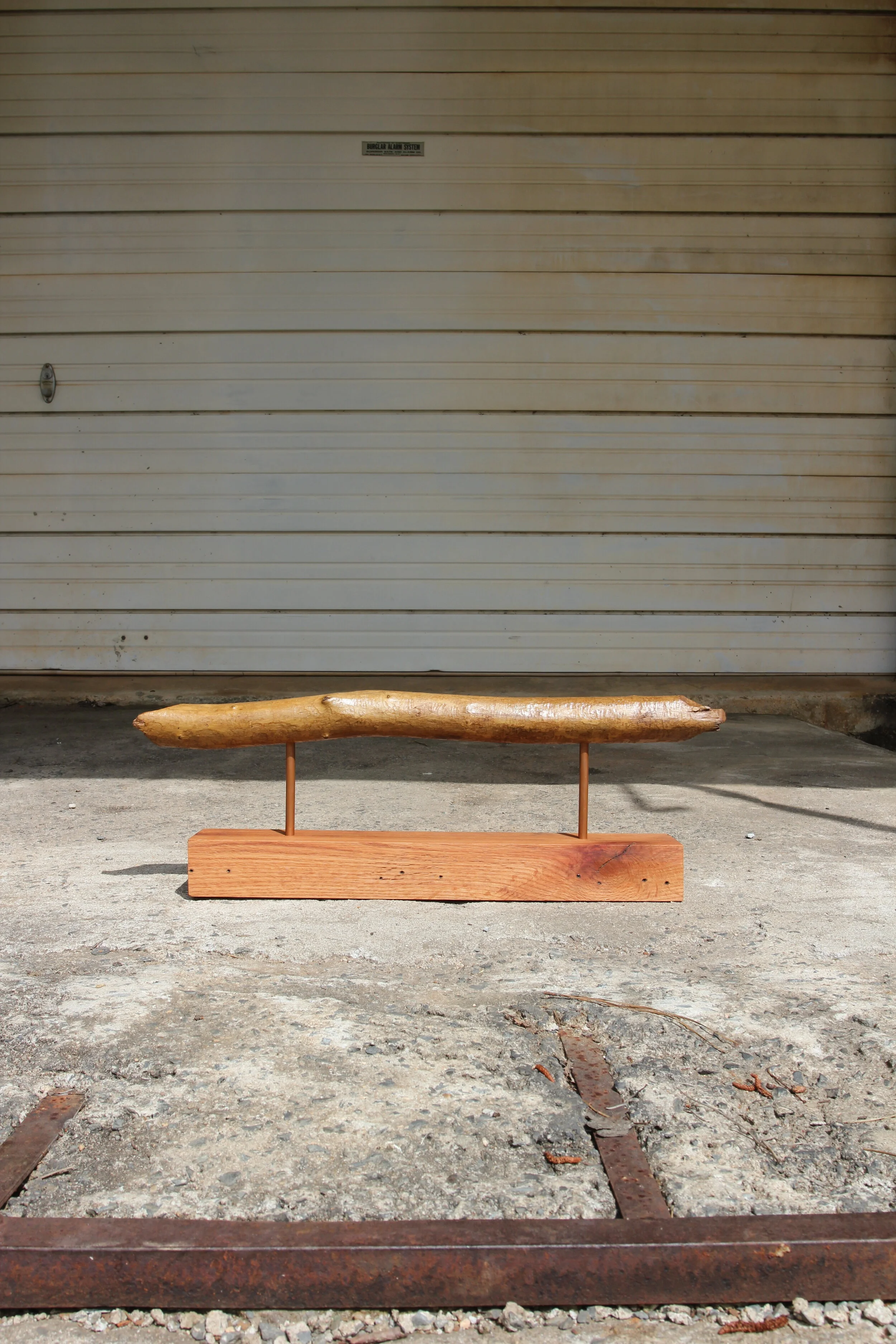 Beaver Wood on Oak Stand