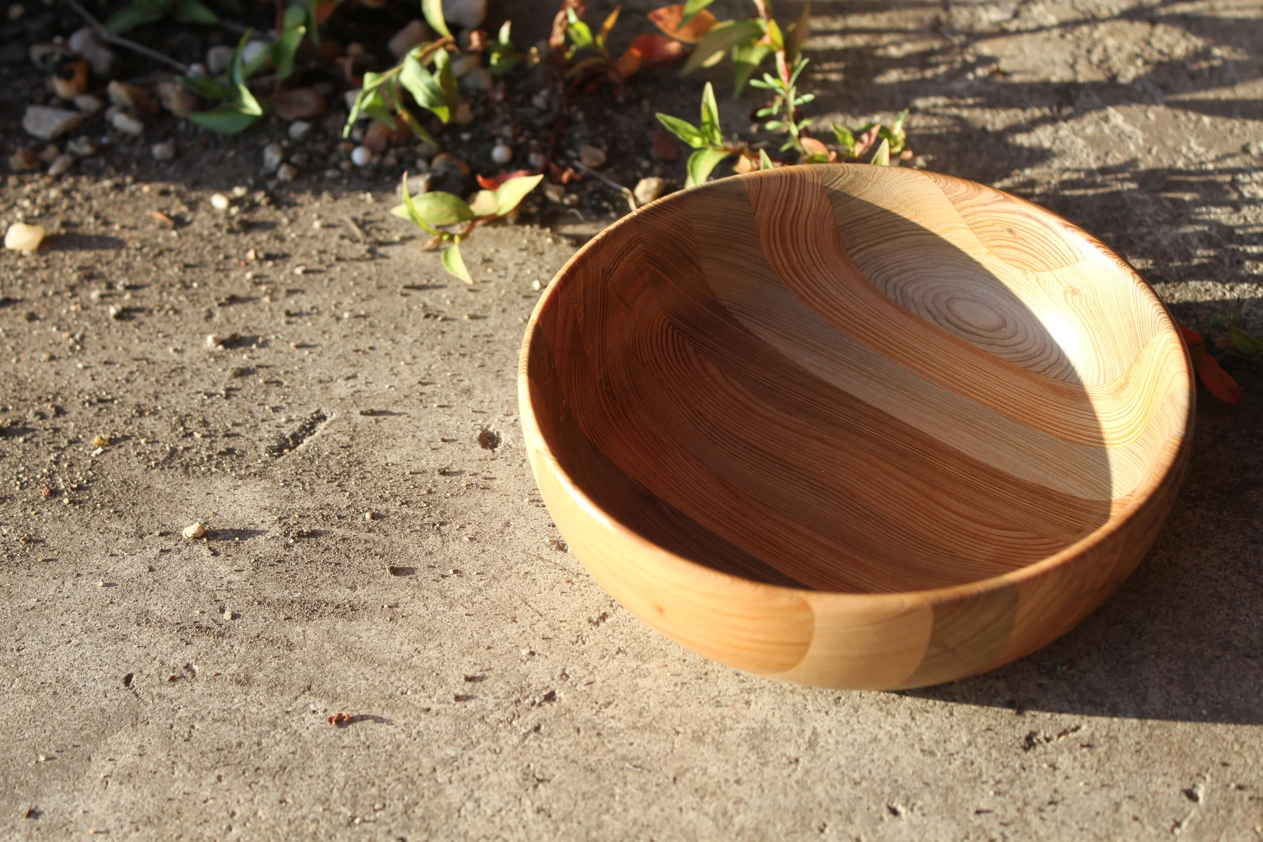 Cypress Vessel (6di.)