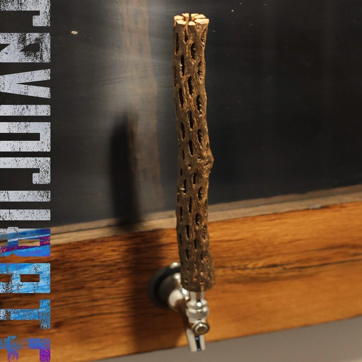 Cholla wood is the skeleton of a cholla plant after it dies. The cholla wood is made up of a bunch of holes and is hollow through its center. It is illegal to remove Cholla skeletons from the desert, unless you have permission from the owner. Interes