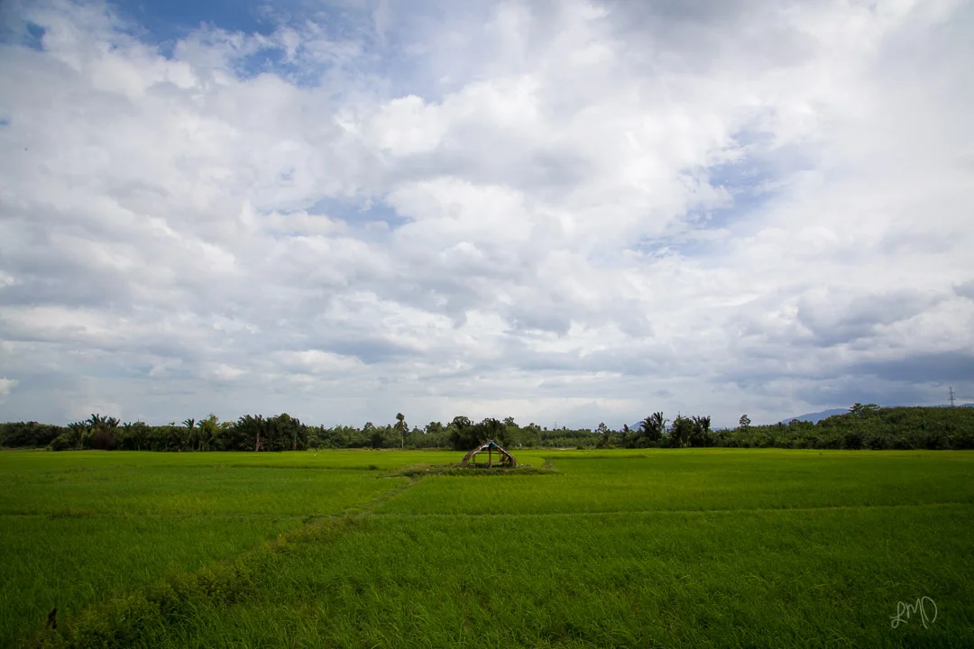 001-LauraMDavila_DocProject_Thailand.jpg