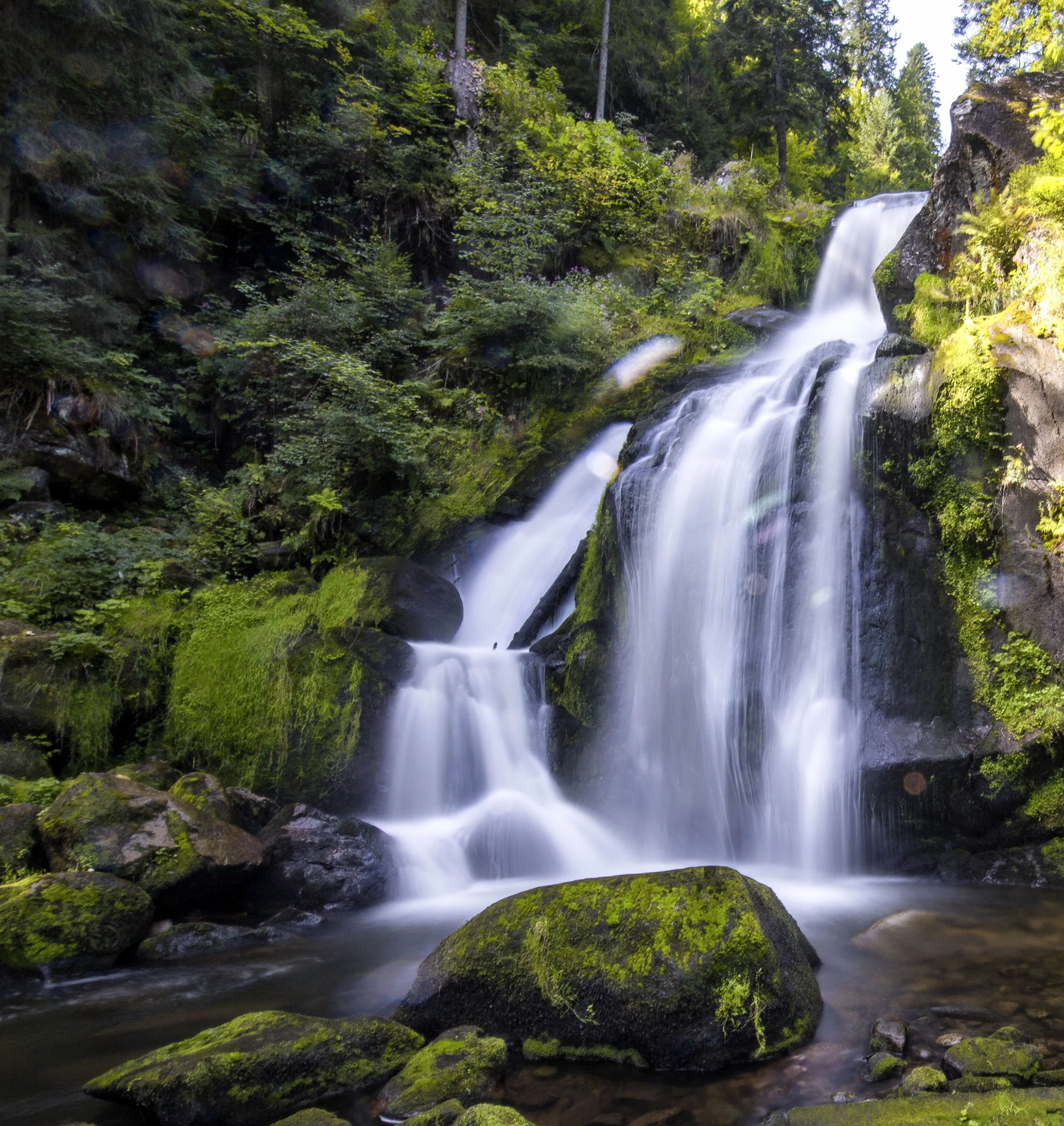 triberg3.jpg