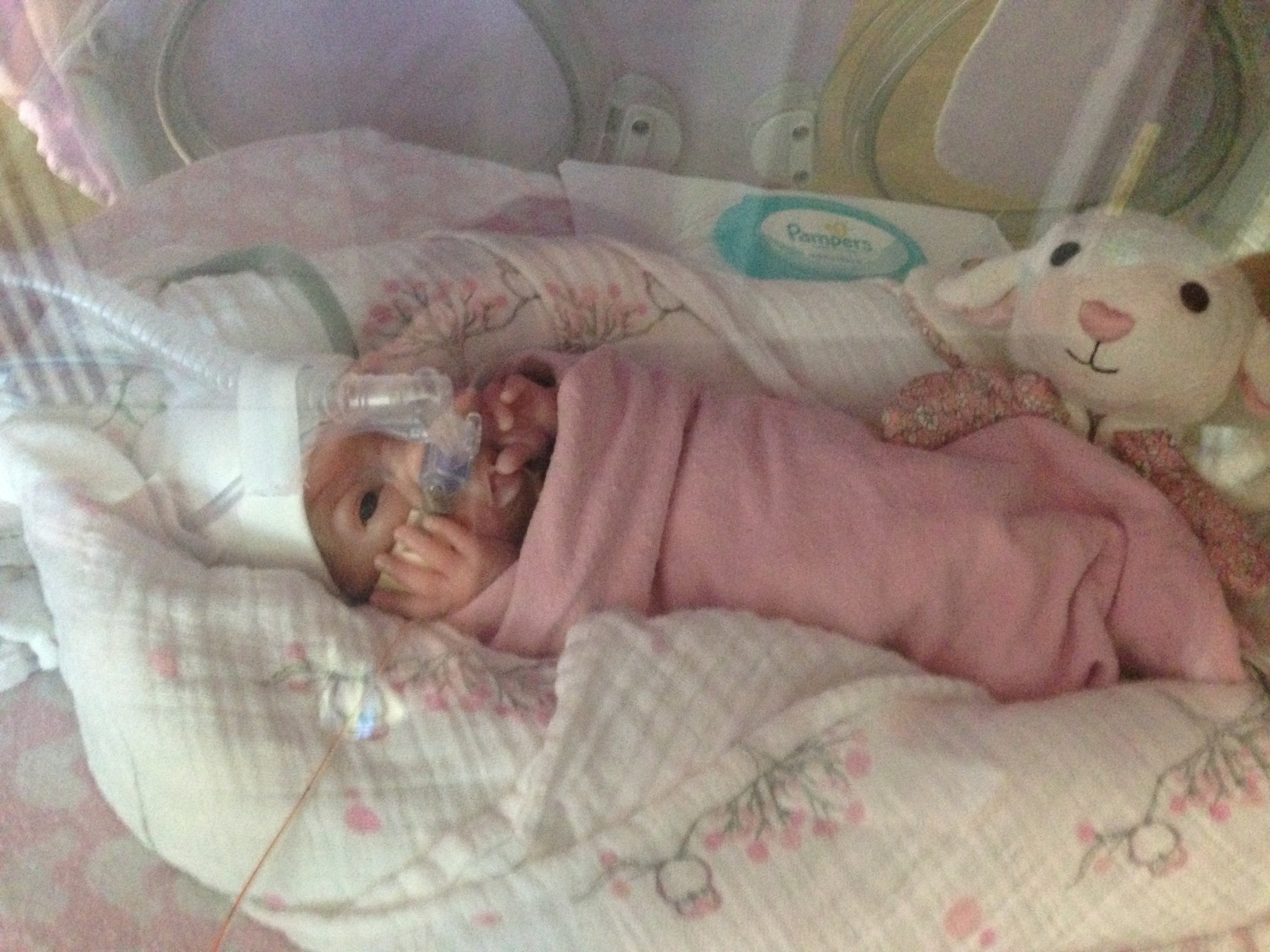 preemie baby girl