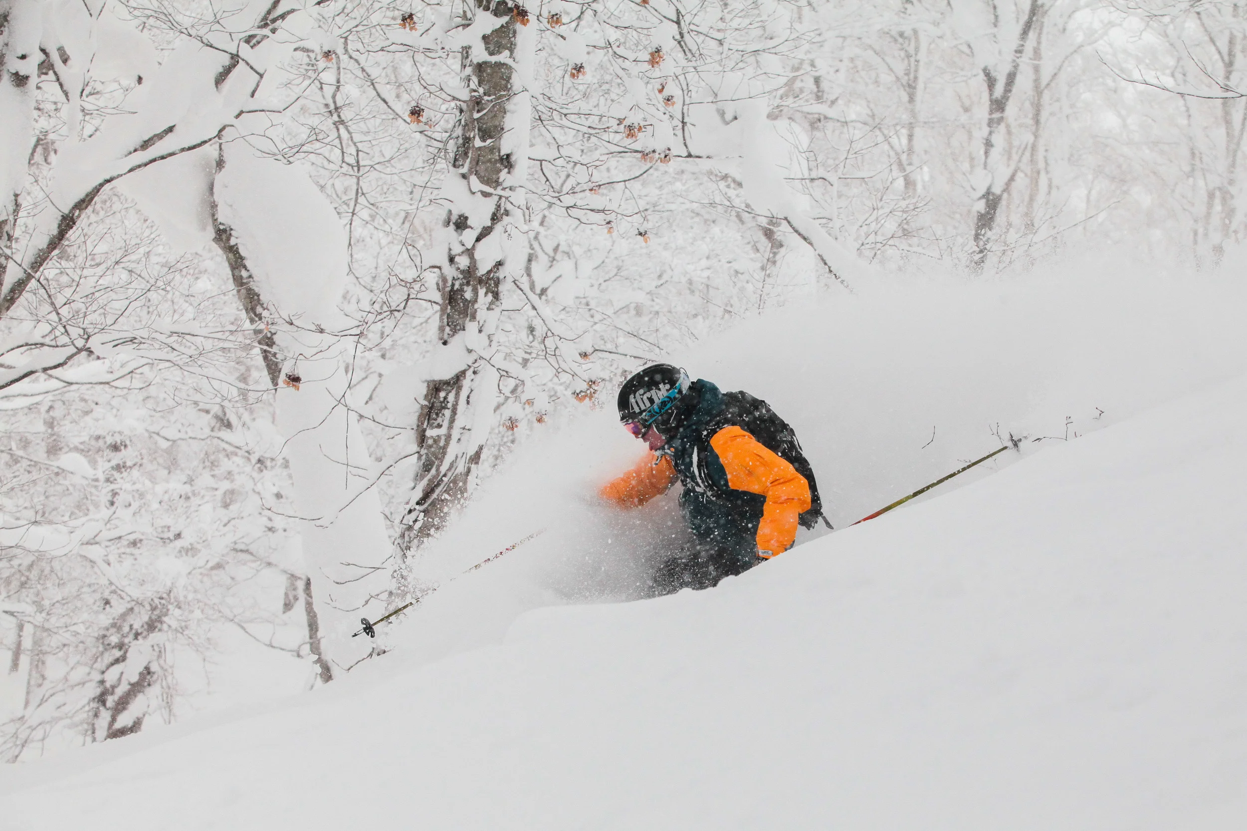 Photo: Alister Buckingham