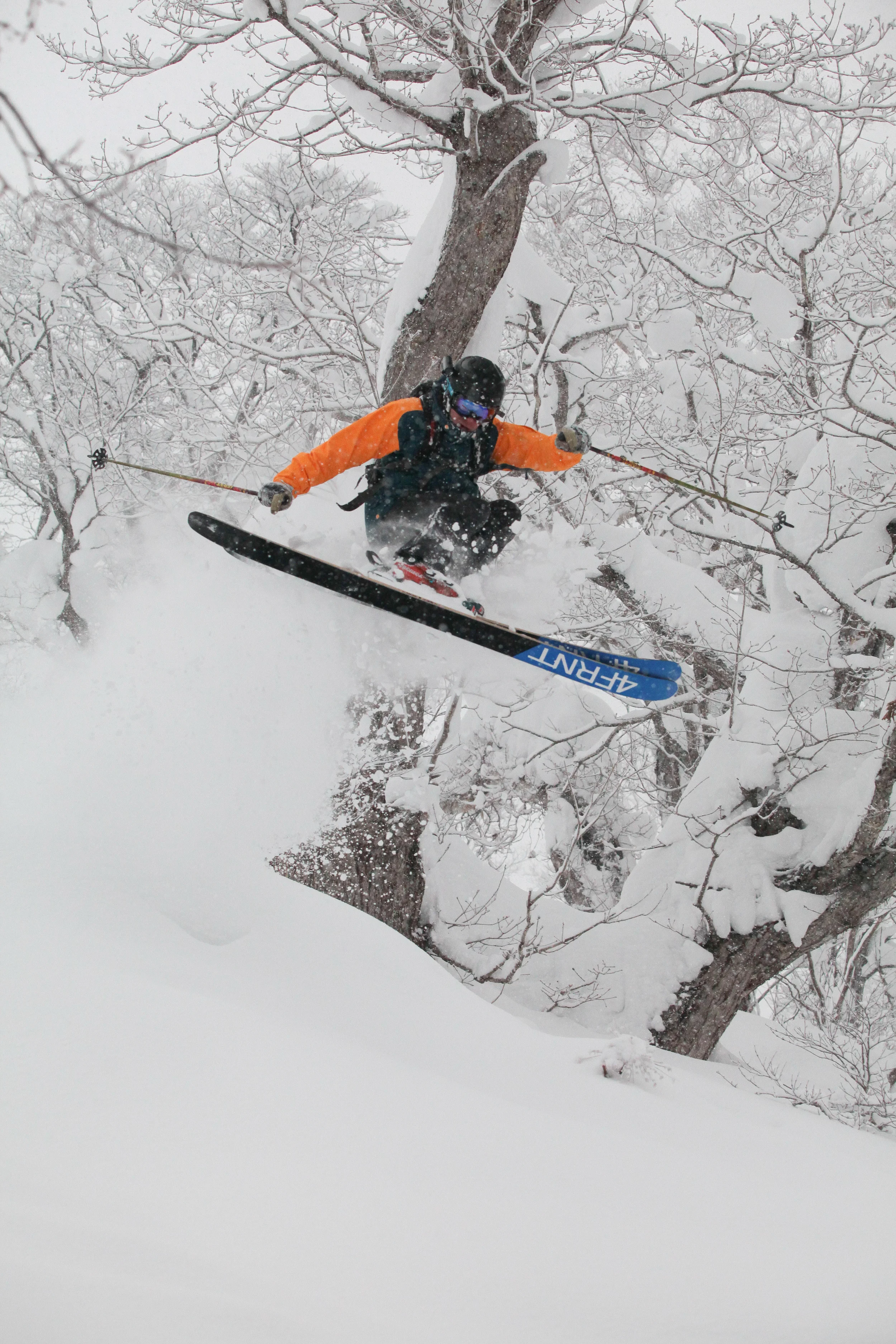 Photo: Alister Buckingham