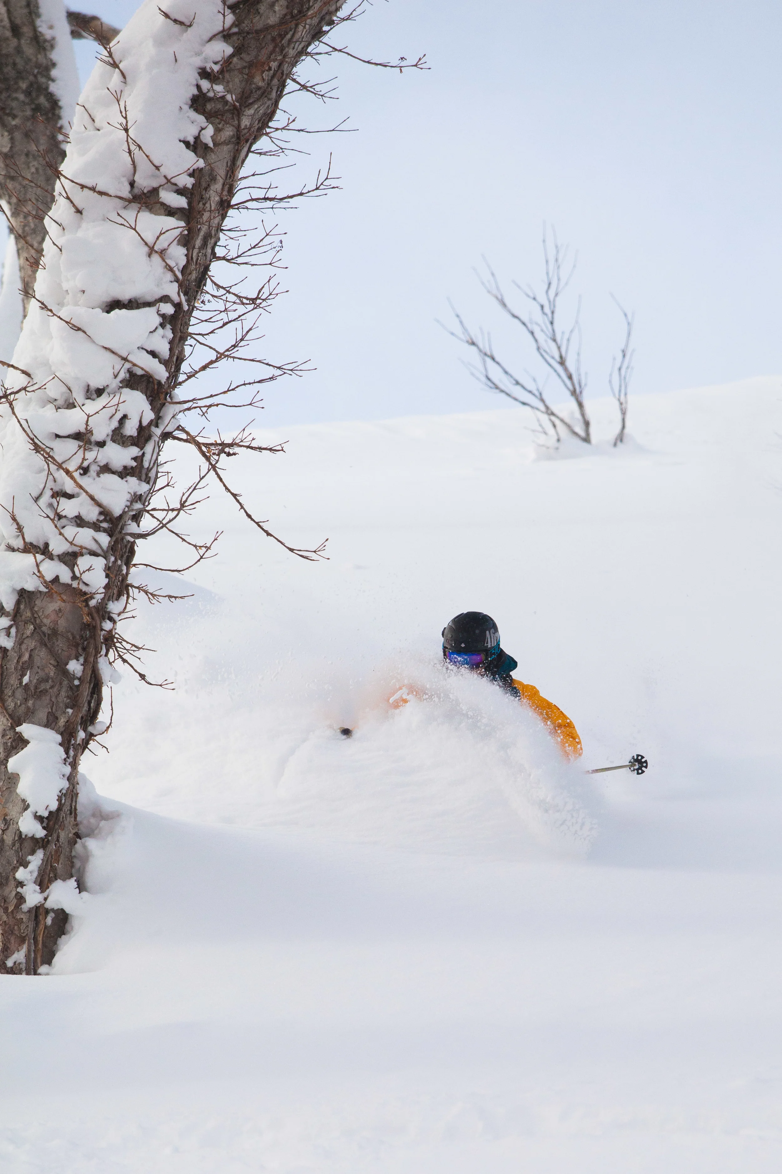 Photo: Alister Buckingham