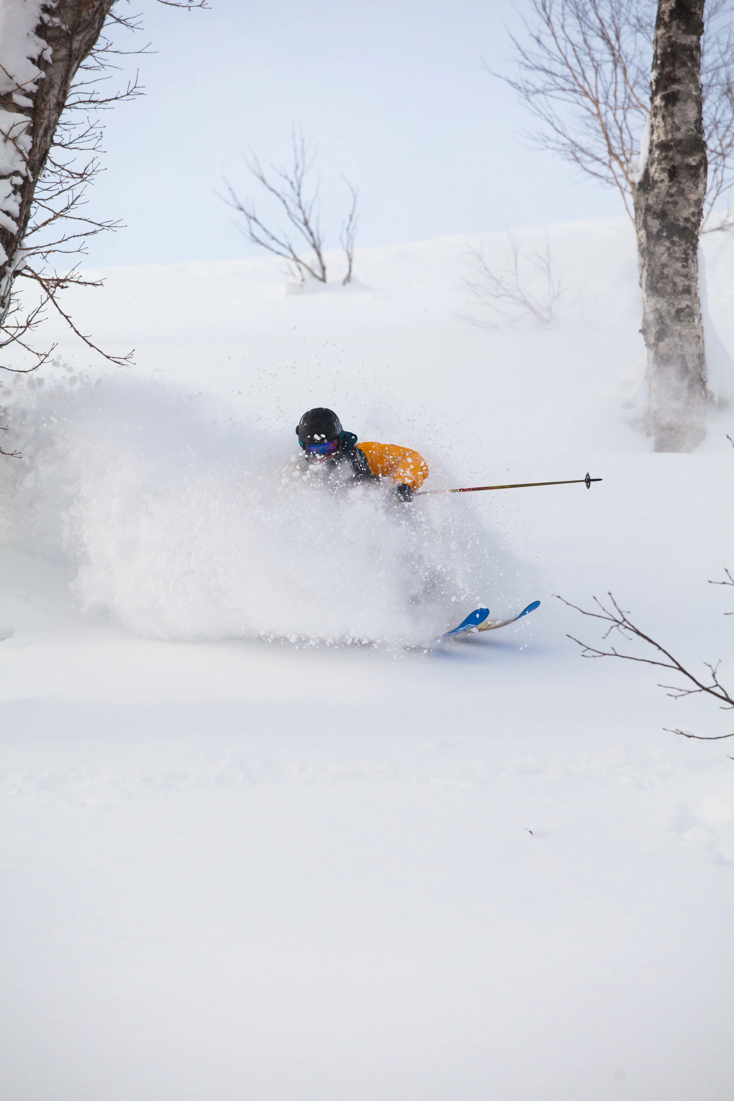 Photo: Alister Buckingham