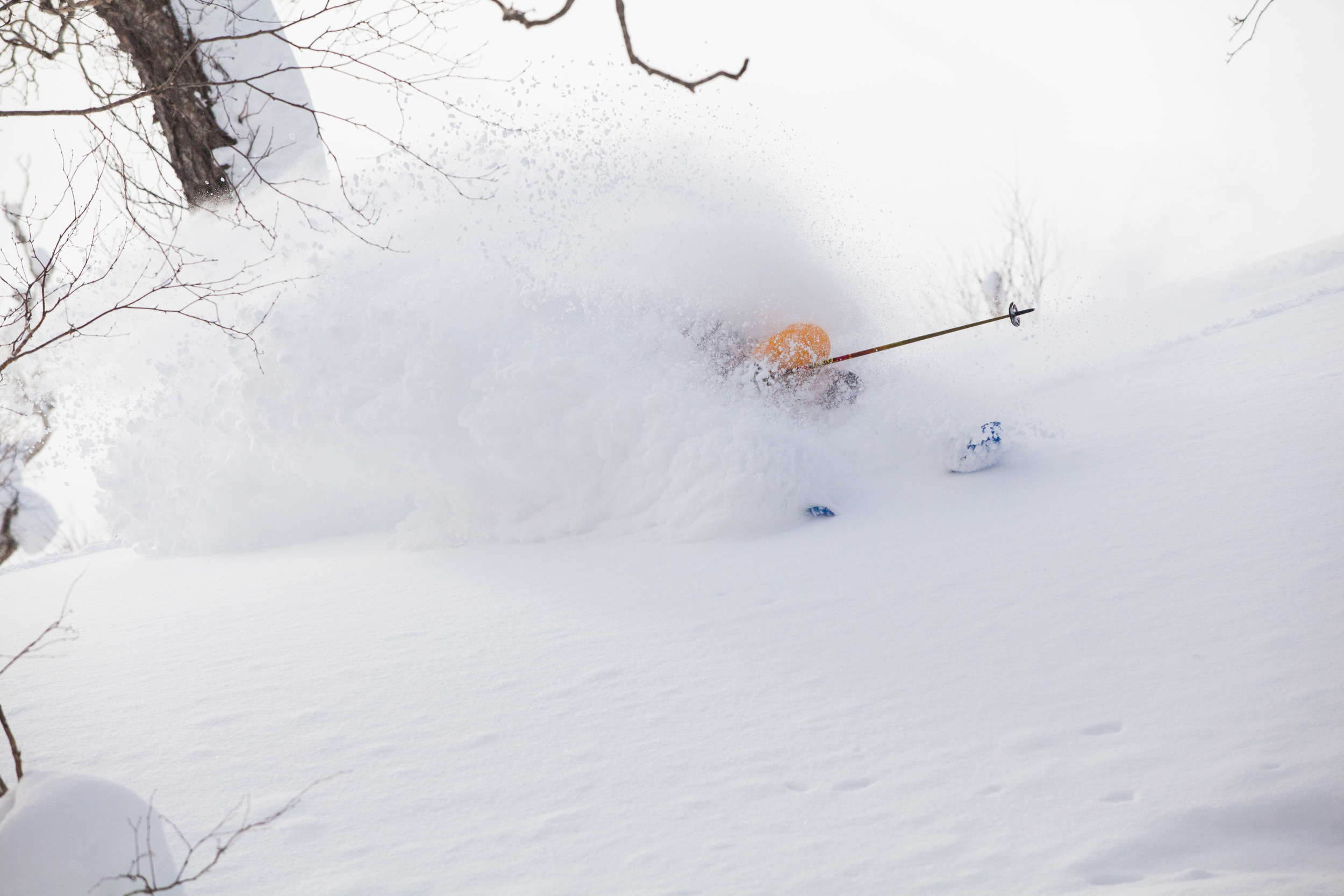 Photo: Alister Buckingham