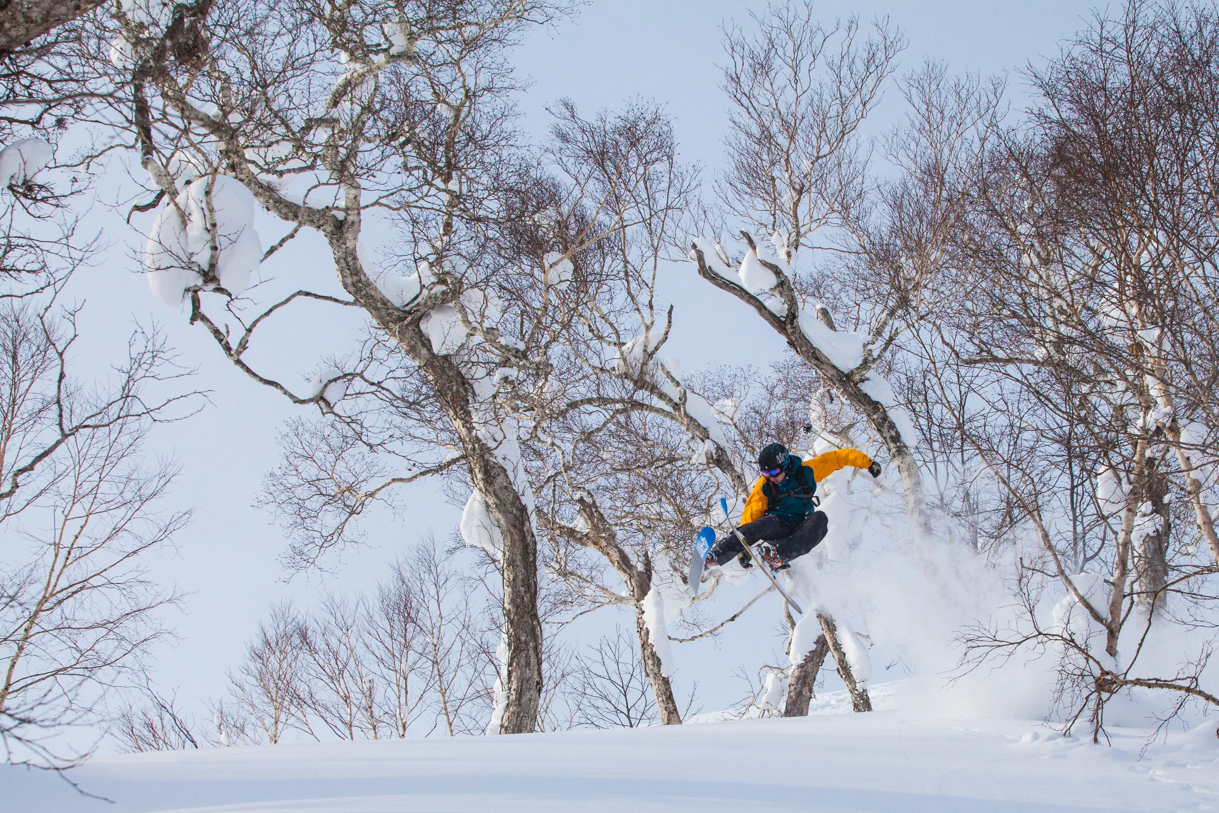 Photo: Alister Buckingham