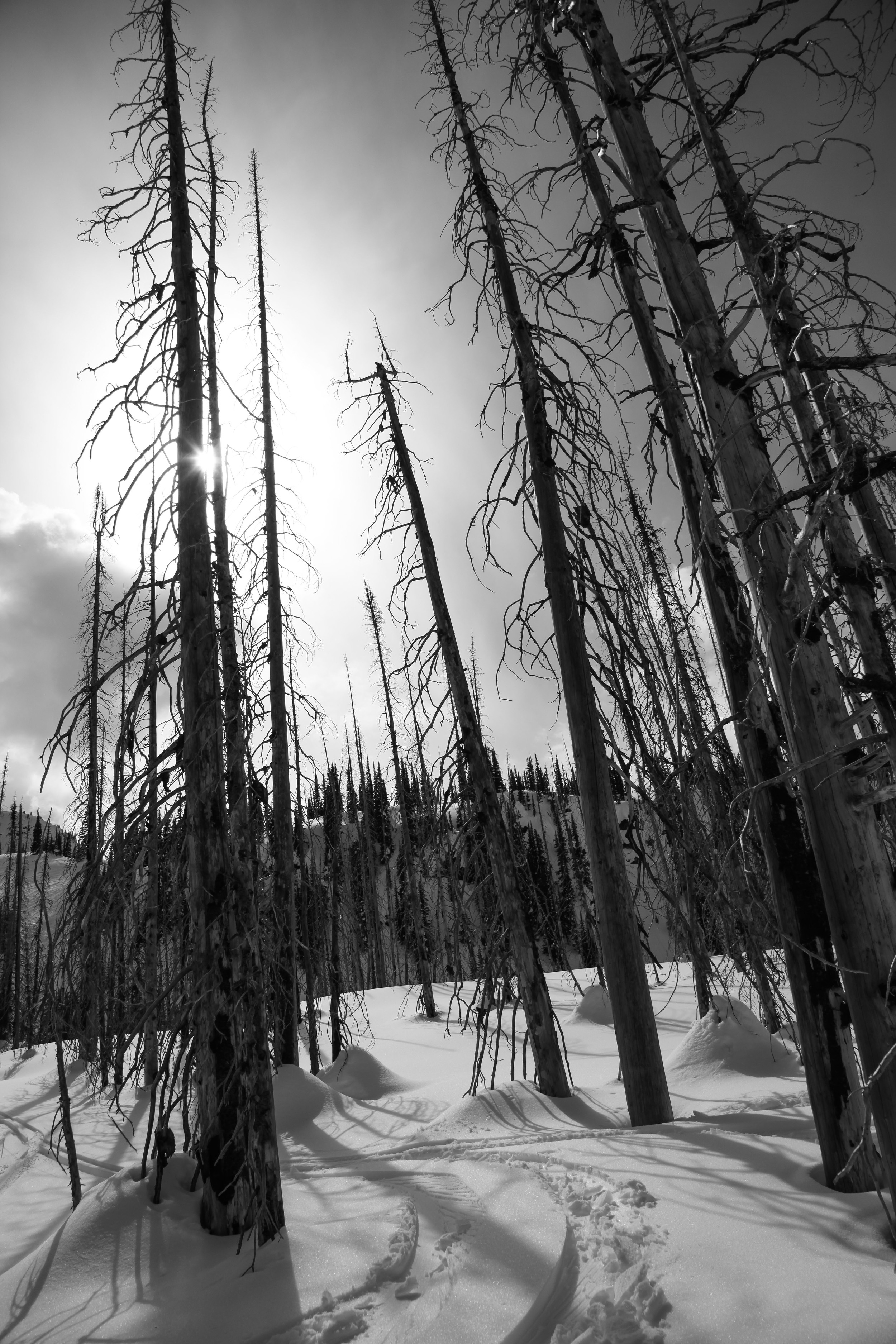 Photo: Colleen G. Photography