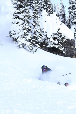 Photo: William Eaton