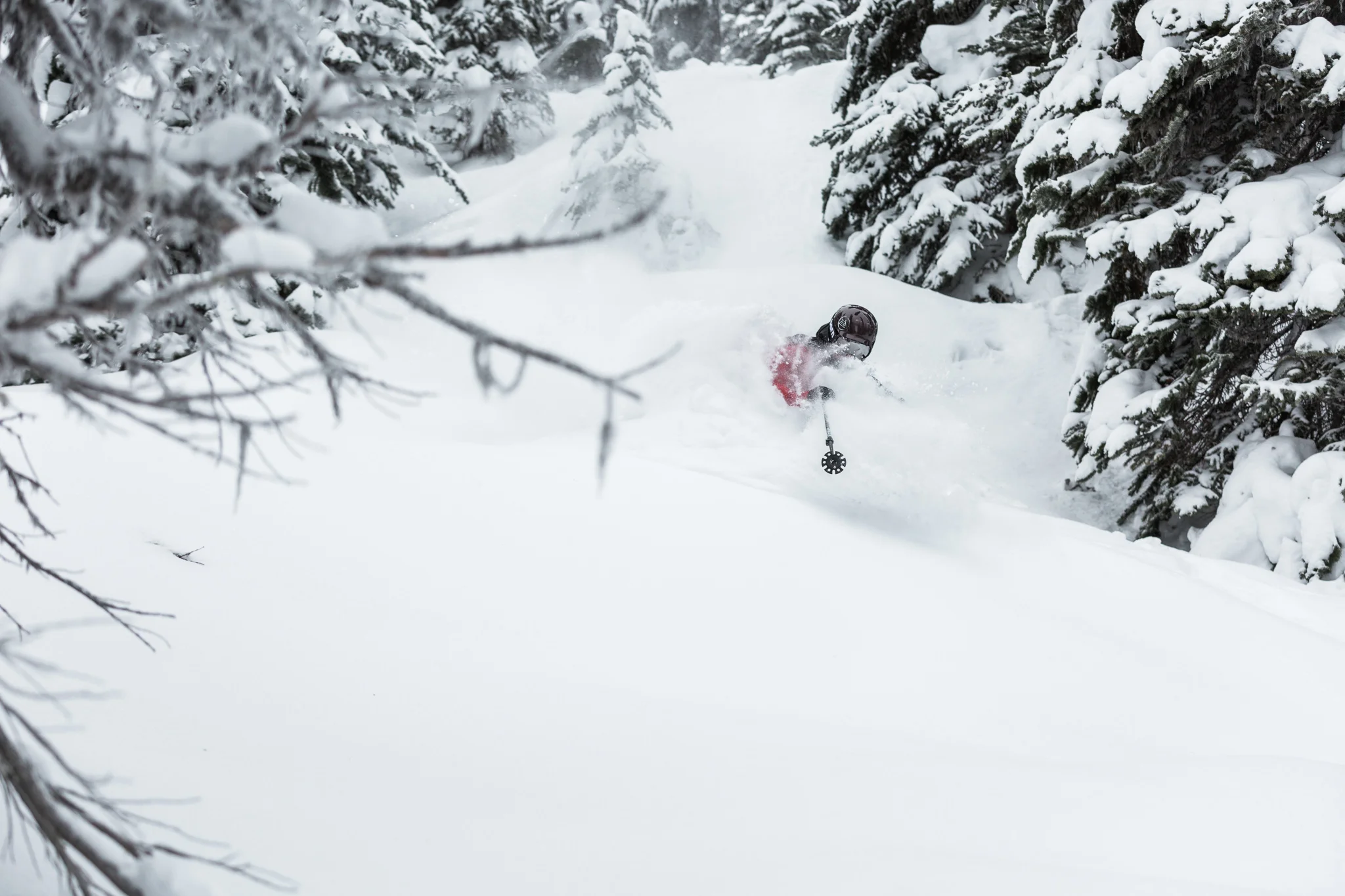 20160114_JJ Vinet_RMR-0227.jpg