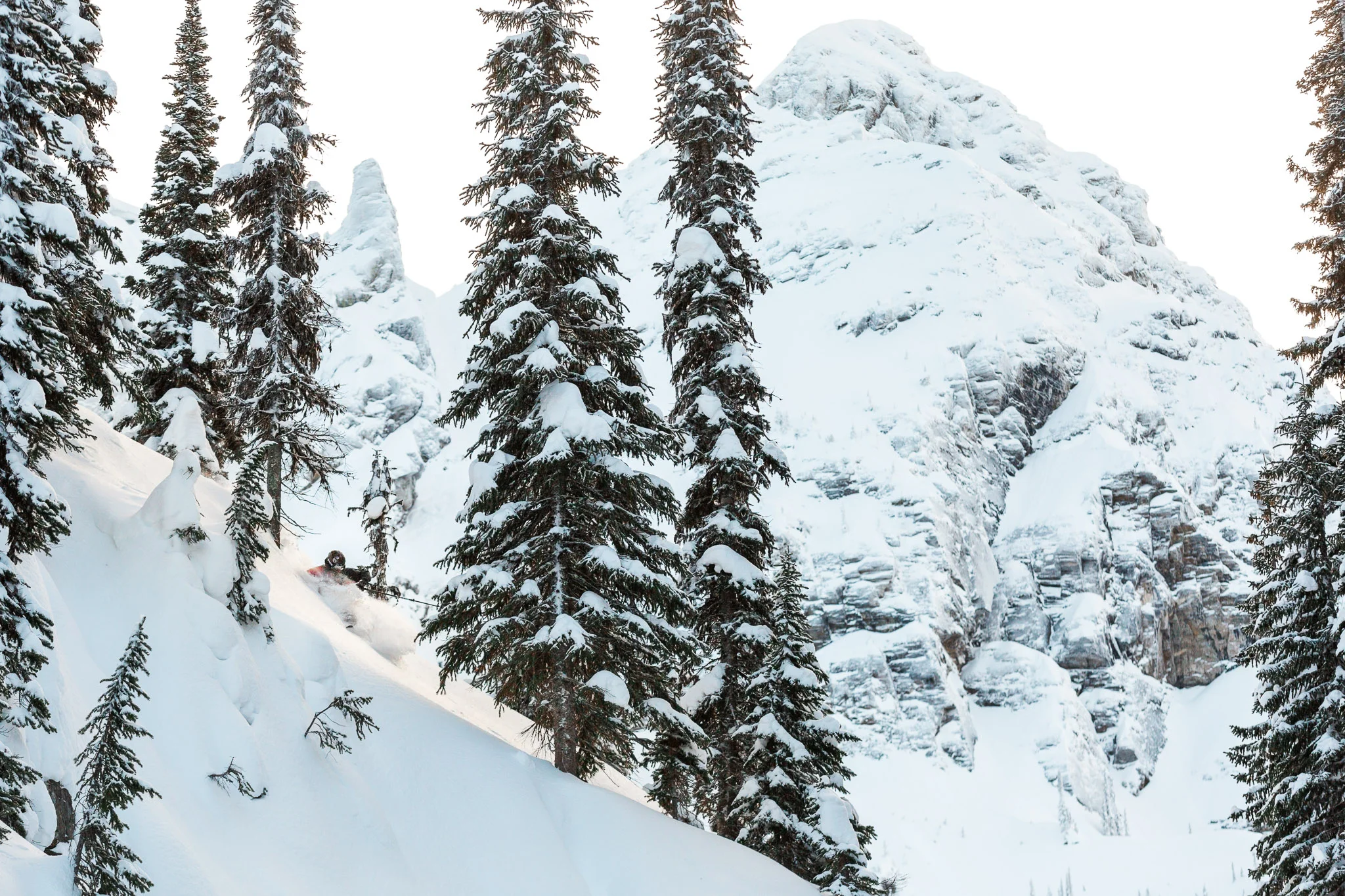 20160114_JJ Vinet_RMR-0352.jpg