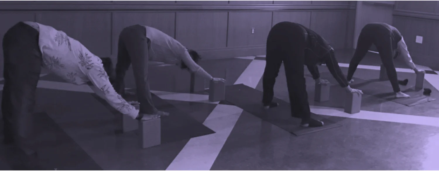 Restorative yoga.jpg