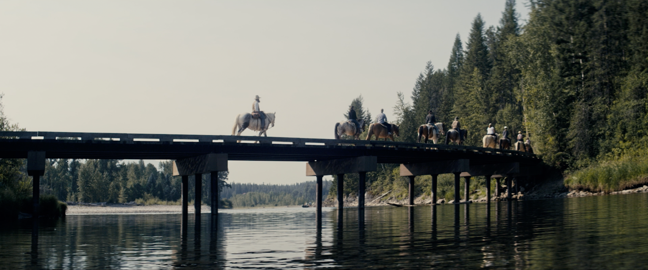 Full Rein Hero Image.png