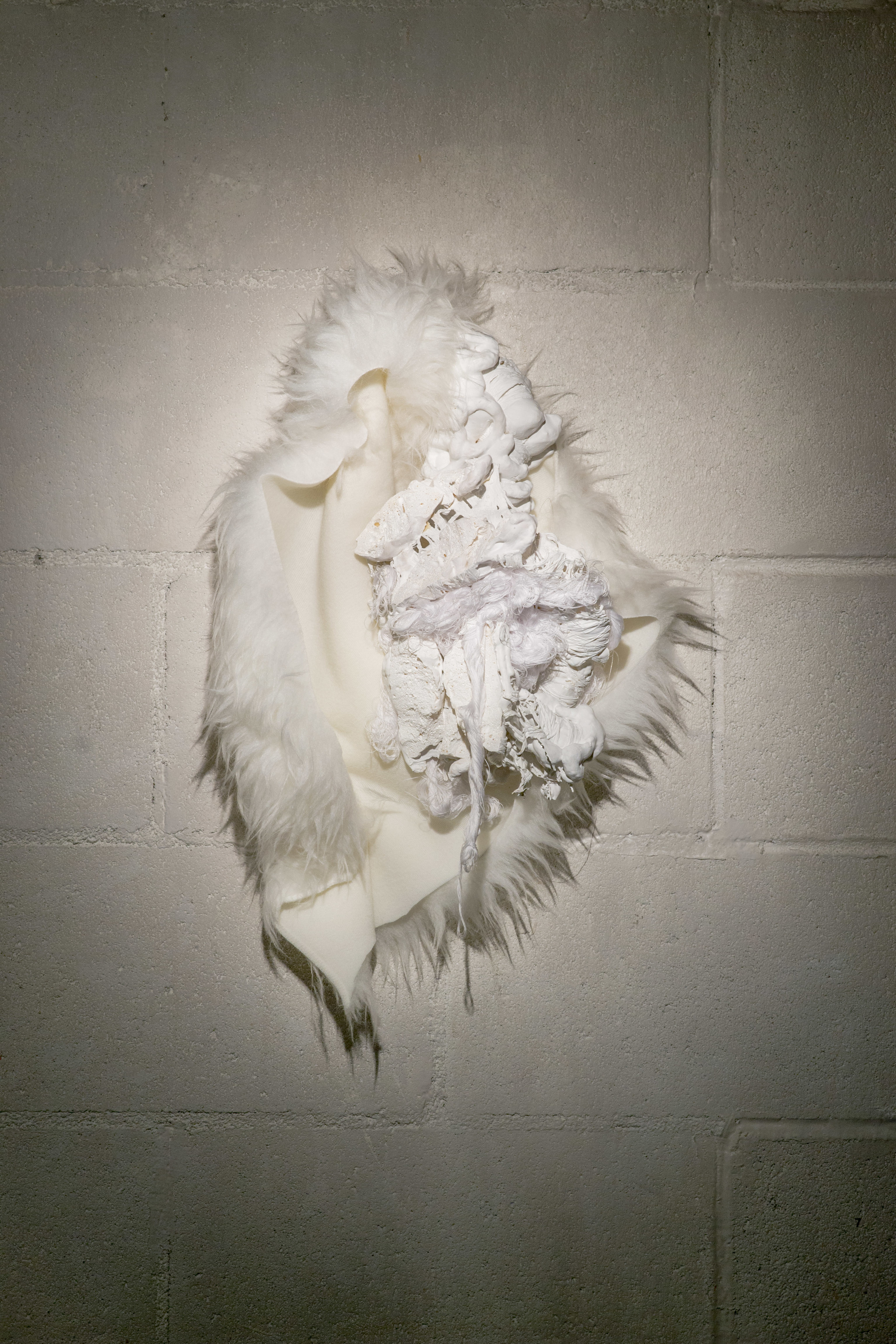 Gretchen Marie Schaefer_FirstIterationofSoftCoreSculpture1_2014.jpg
