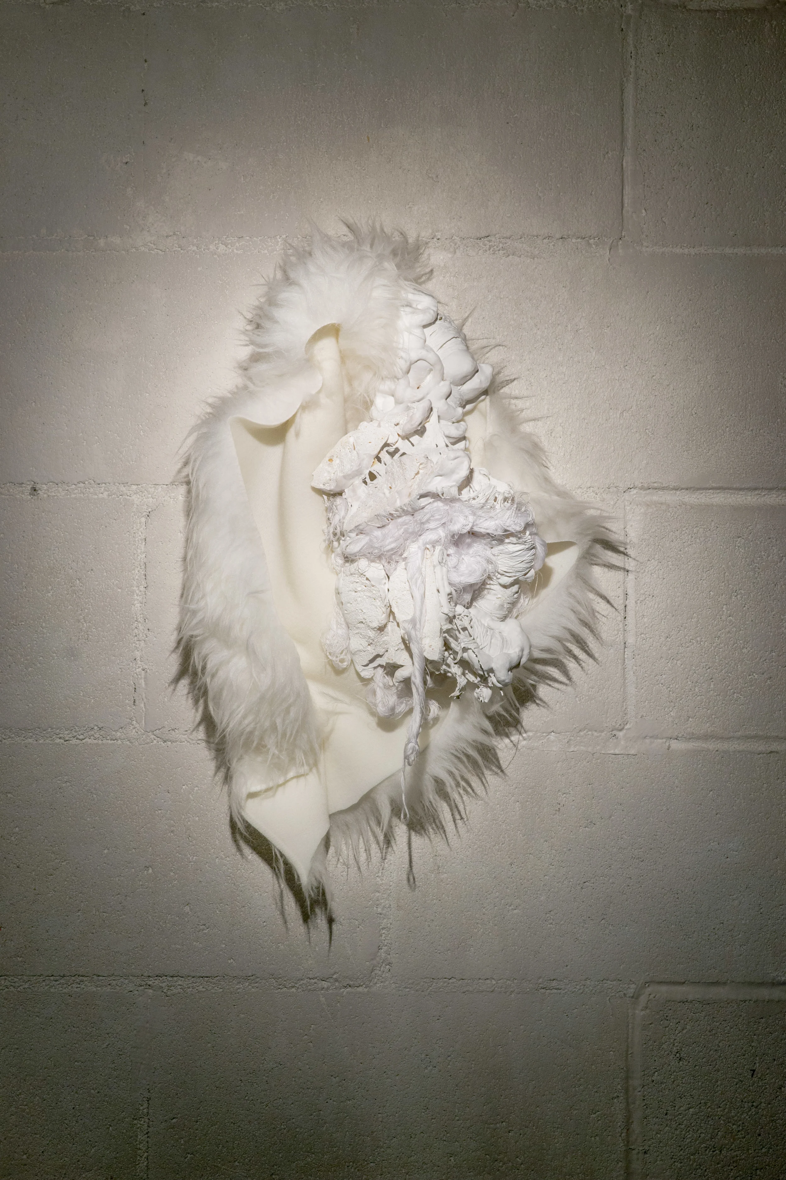 Gretchen Marie Schaefer_FirstIterationofSoftCoreSculpture1_2014.jpg