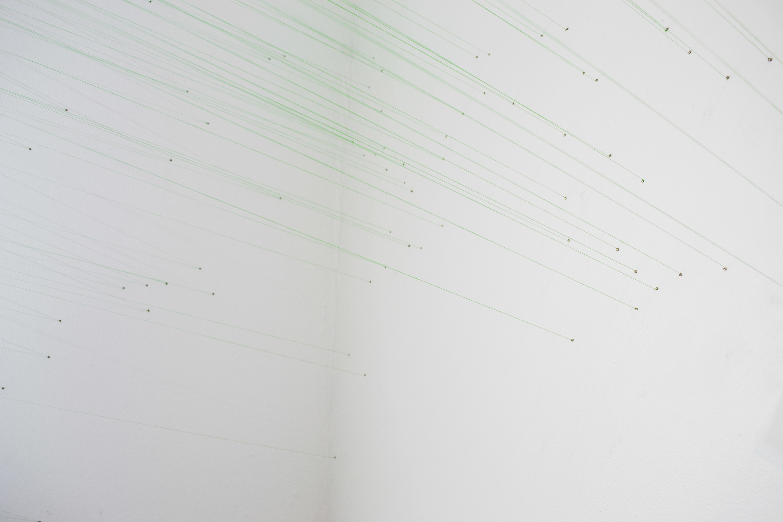 Attempt at Delineation string 2.jpg