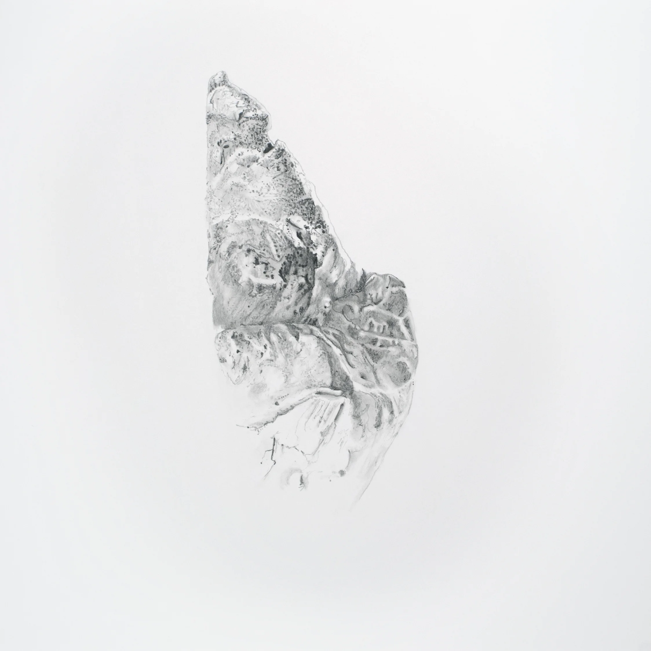 Born Hotel Image 10x.jpg
